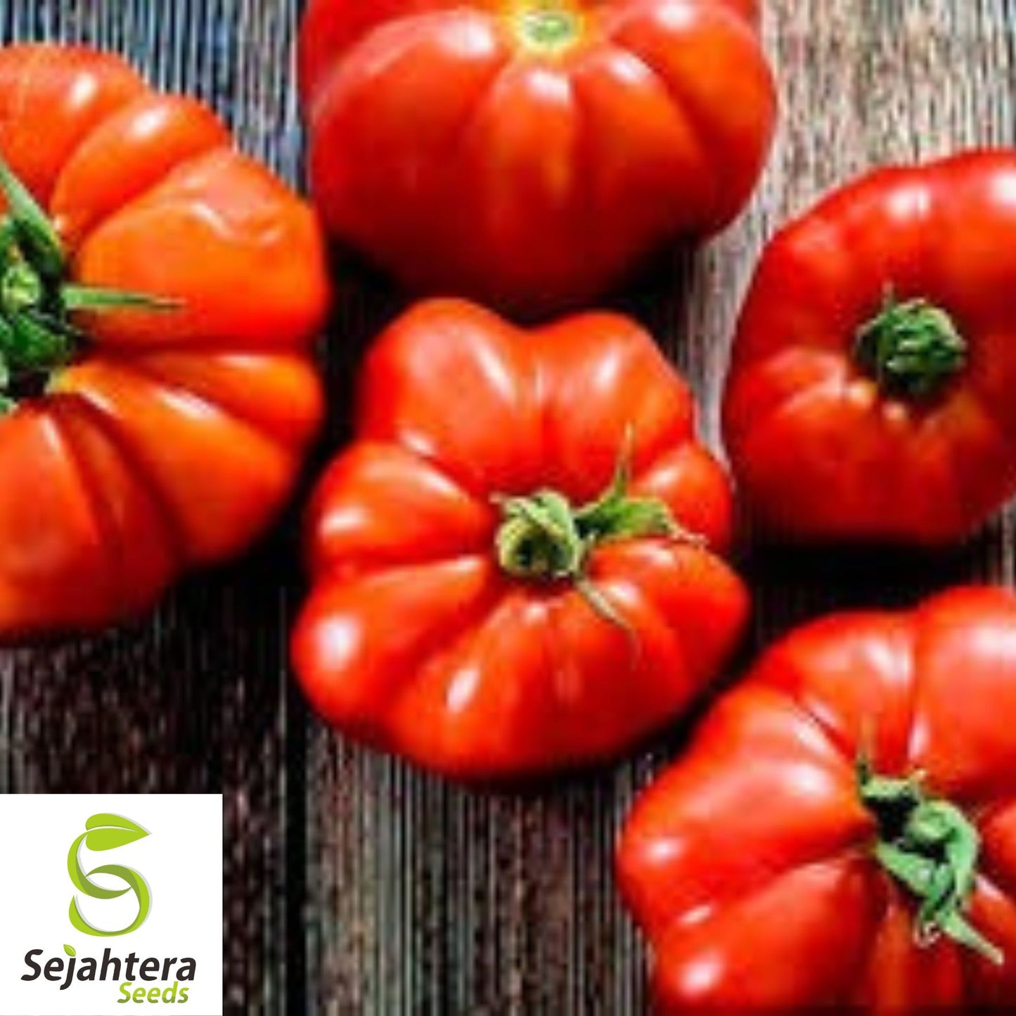 50 Marmande Tomato Seeds - Italian Heirloom, Non-GMO Vegetable