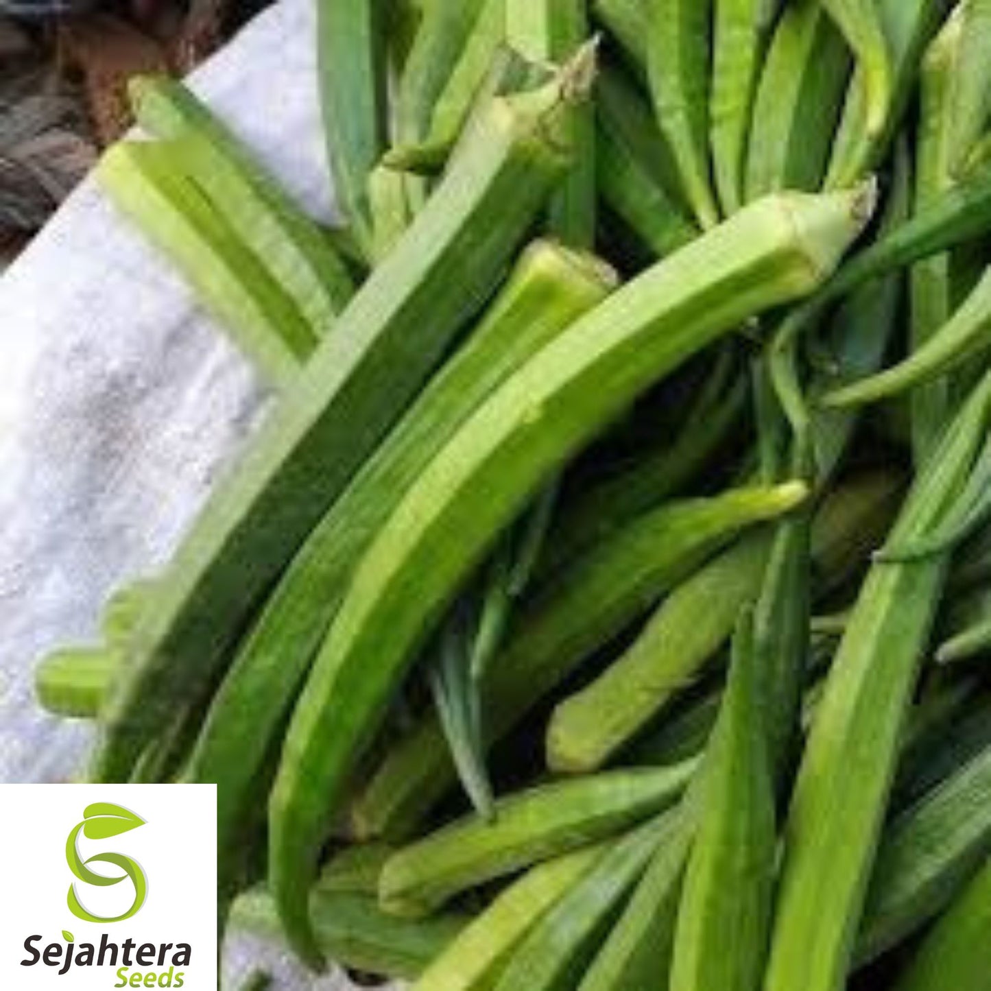 Emerald Okra Seeds – Heirloom, Non-GMO, High-Yield, Fresh for Planting