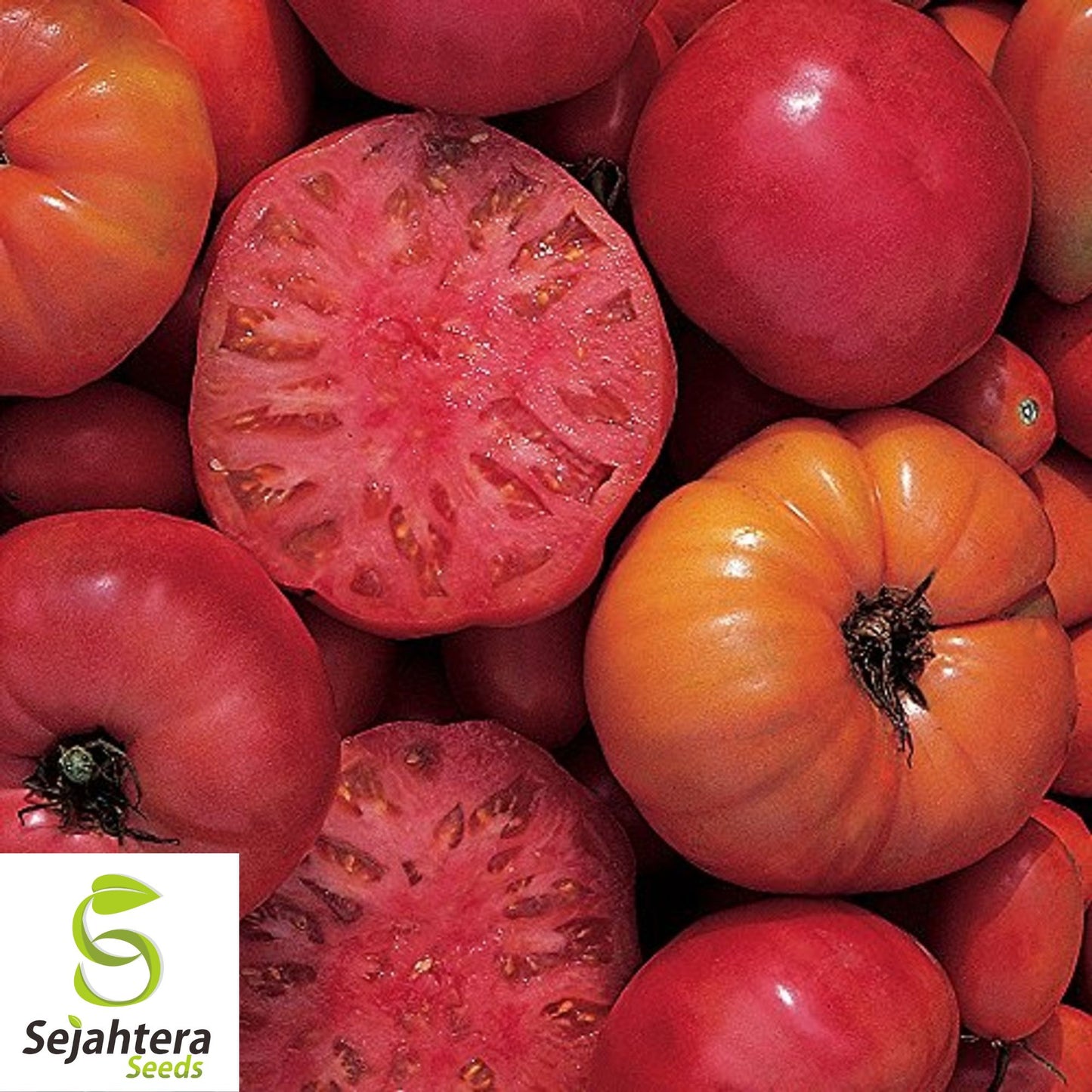 Mortgage Lifter Tomato Seeds - 30+ Heirloom, Organic, Non-GMO & Large