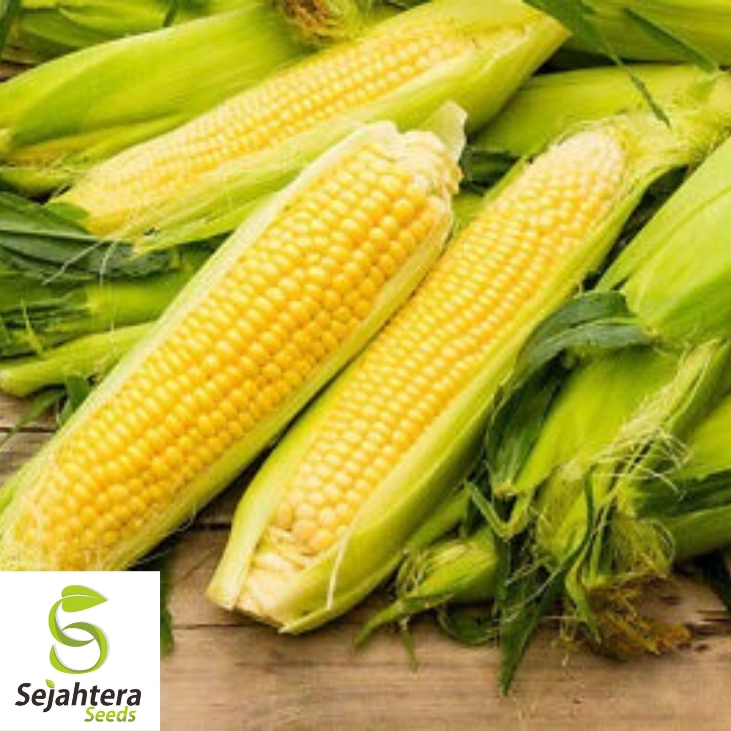 Iochief Yellow Corn Seeds 25 Ct | Sweet Heirloom Vegetable NON-GMO USA