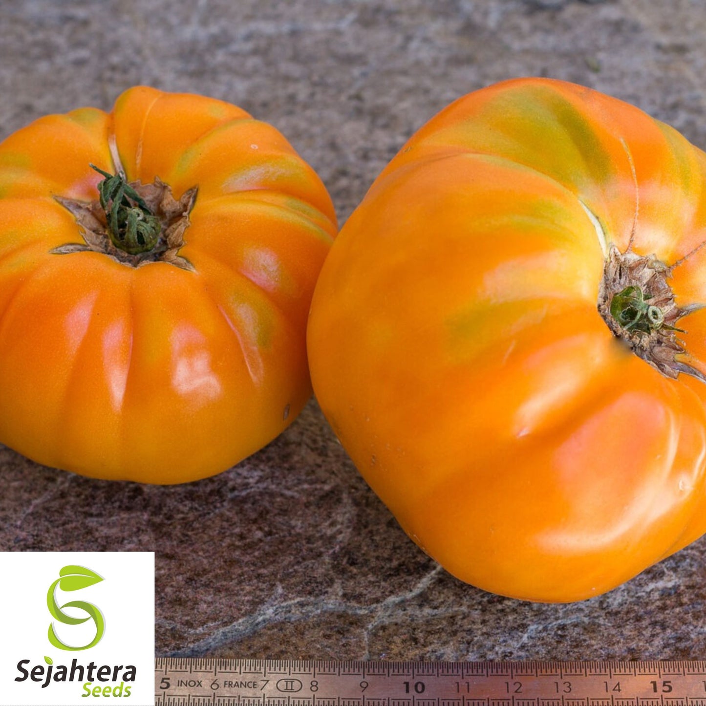 30 AMANA ORANGE BEEFSTEAK TOMATO SEEDS