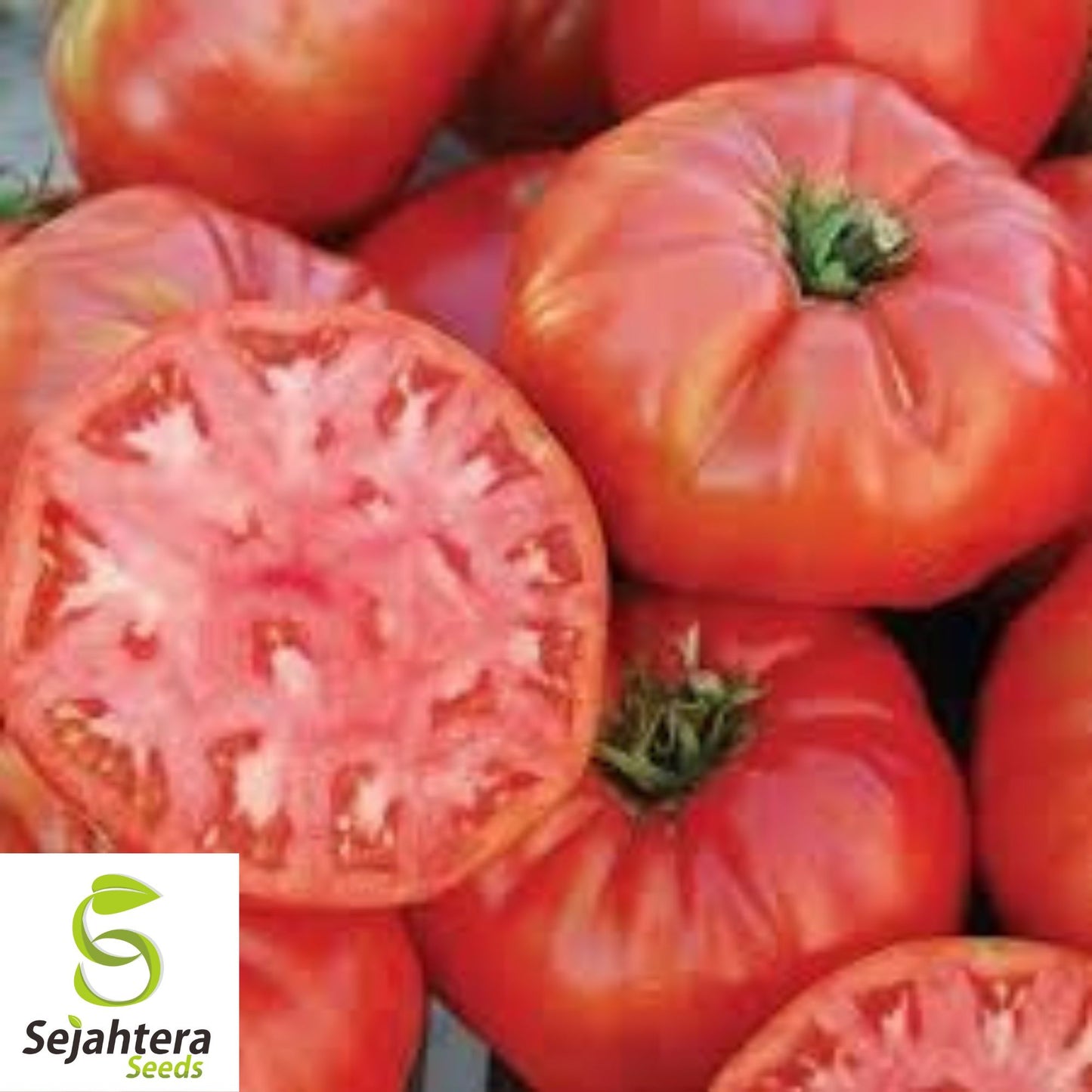 Mortgage Lifter Tomato Seeds - 30+ Heirloom, Organic, Non-GMO & Large
