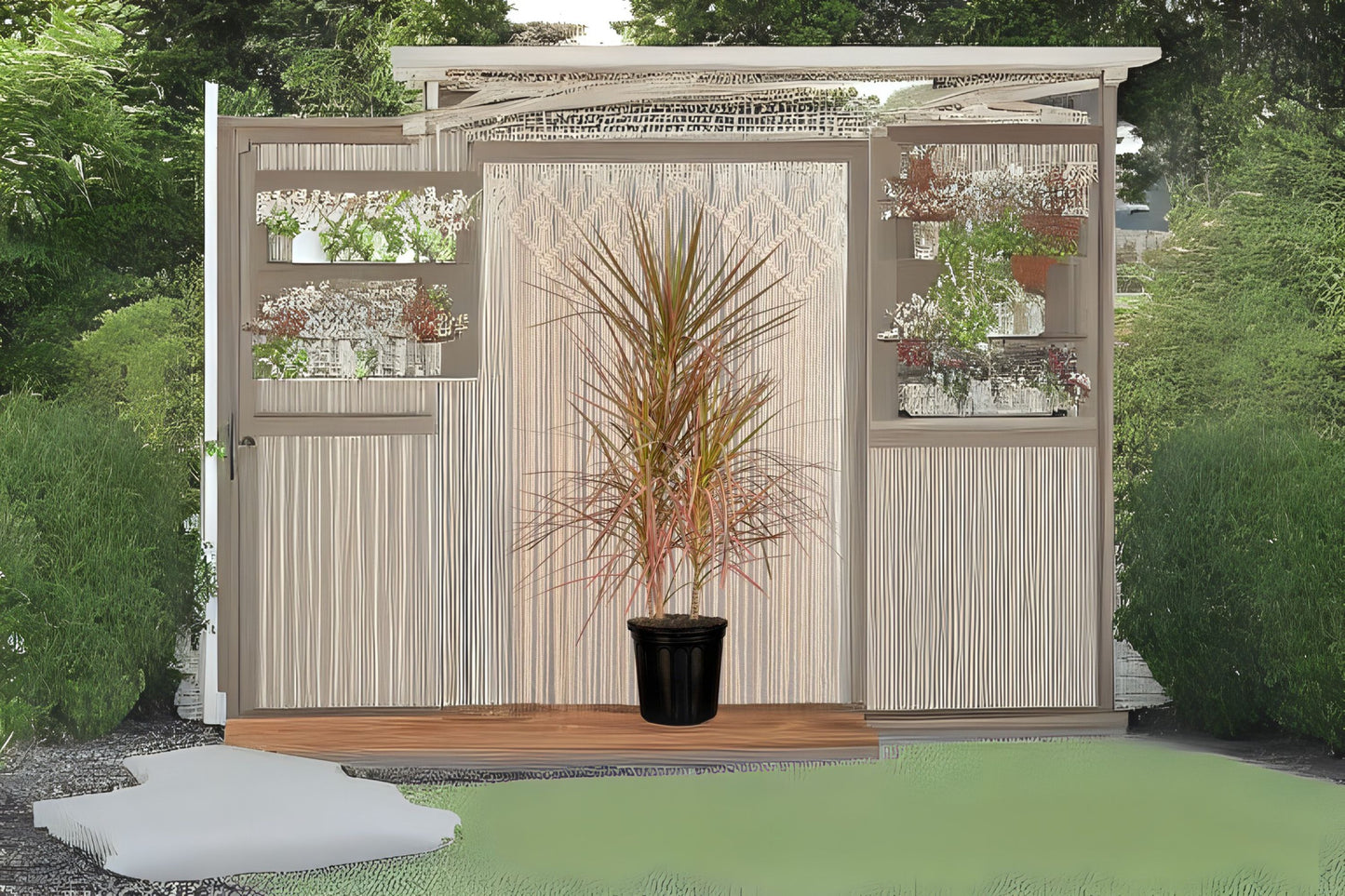 Dracaena Marginata | 4” Pot | Dragon Tree | Easy Indoor Plant | Air Purifying Houseplant | Low-Maintenance Decor