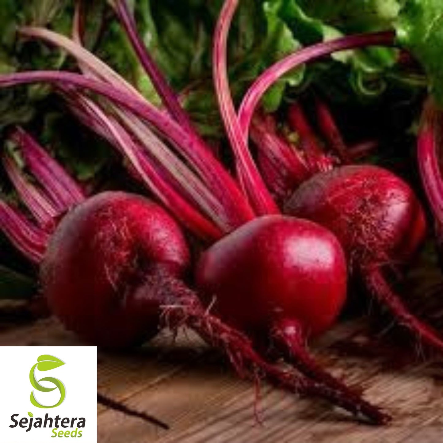 Ruby Queen Beet Seeds {Beta vulgaris} 150 Seeds | Red Heirloom Non-GMO