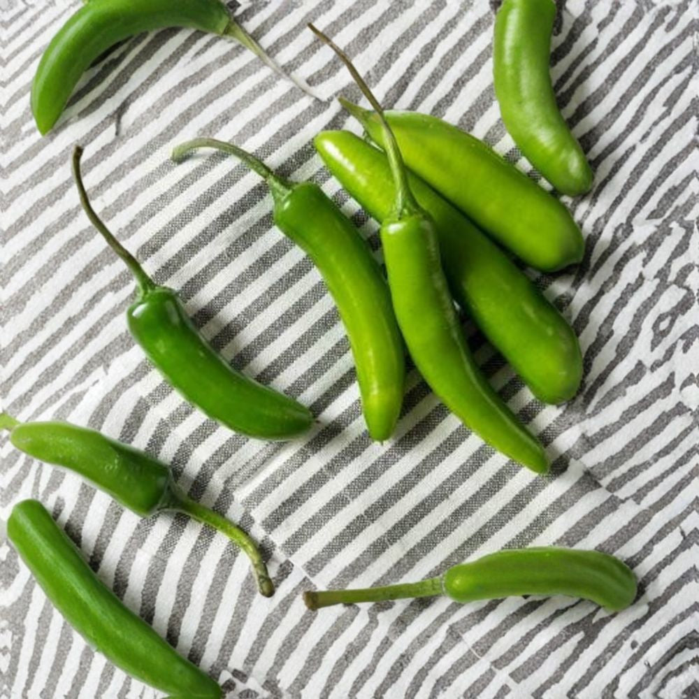 Serrano Pepper Plant – Capsicum annuum Live Pepper Plant | 3 Inch Pot | Ready to Grow Medium-Hot Chili Starter | Garden & Container Friendly | Edible Vegetable Plant