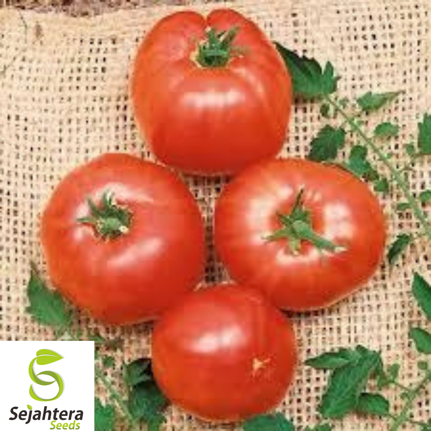30+ German Johnson Tomato Seeds - Heirloom, Large, Juicy & Flavorful Beefsteak
