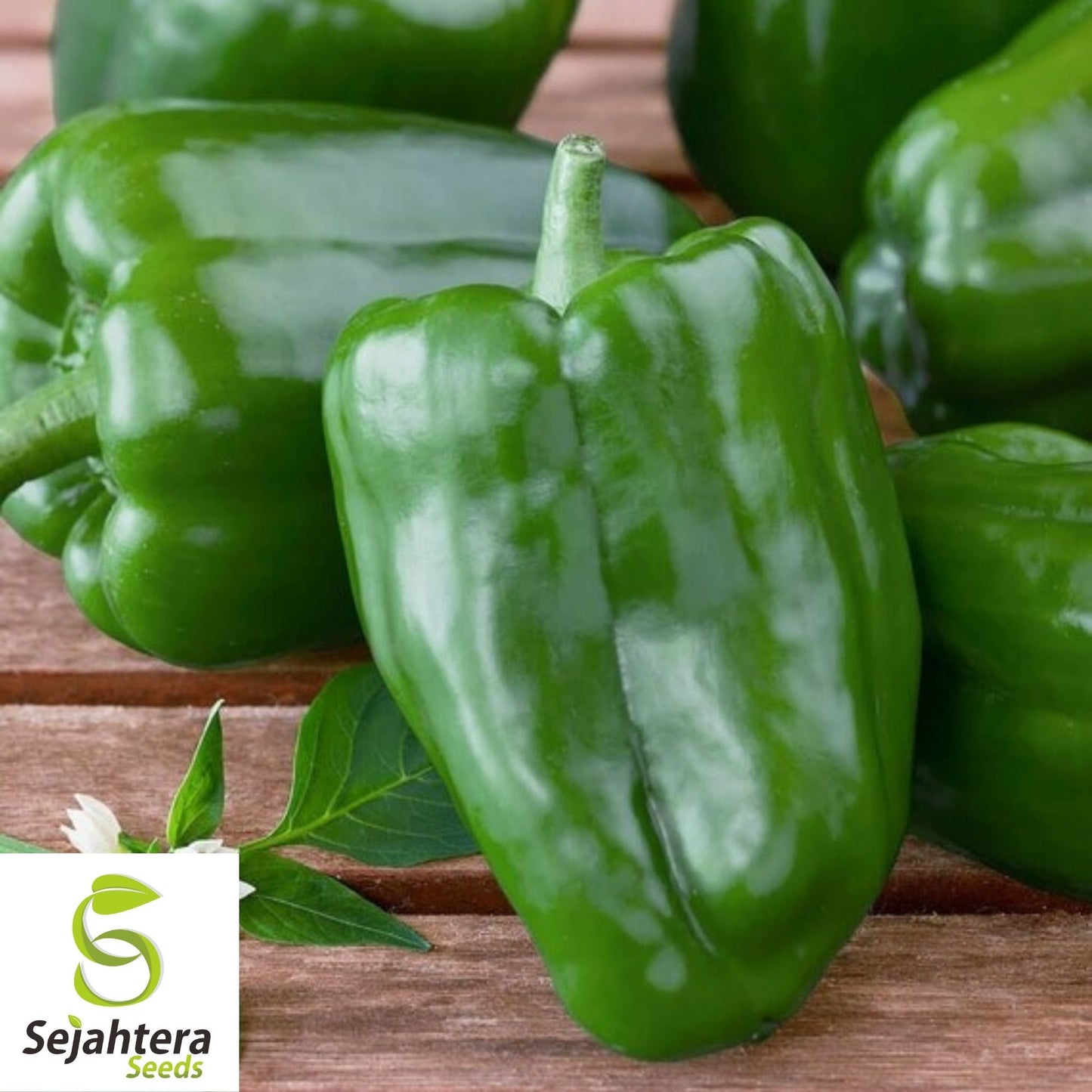 Cascadura Sweet Pepper Seeds 25+ | Heirloom NON-GMO Vegetable Garden USA