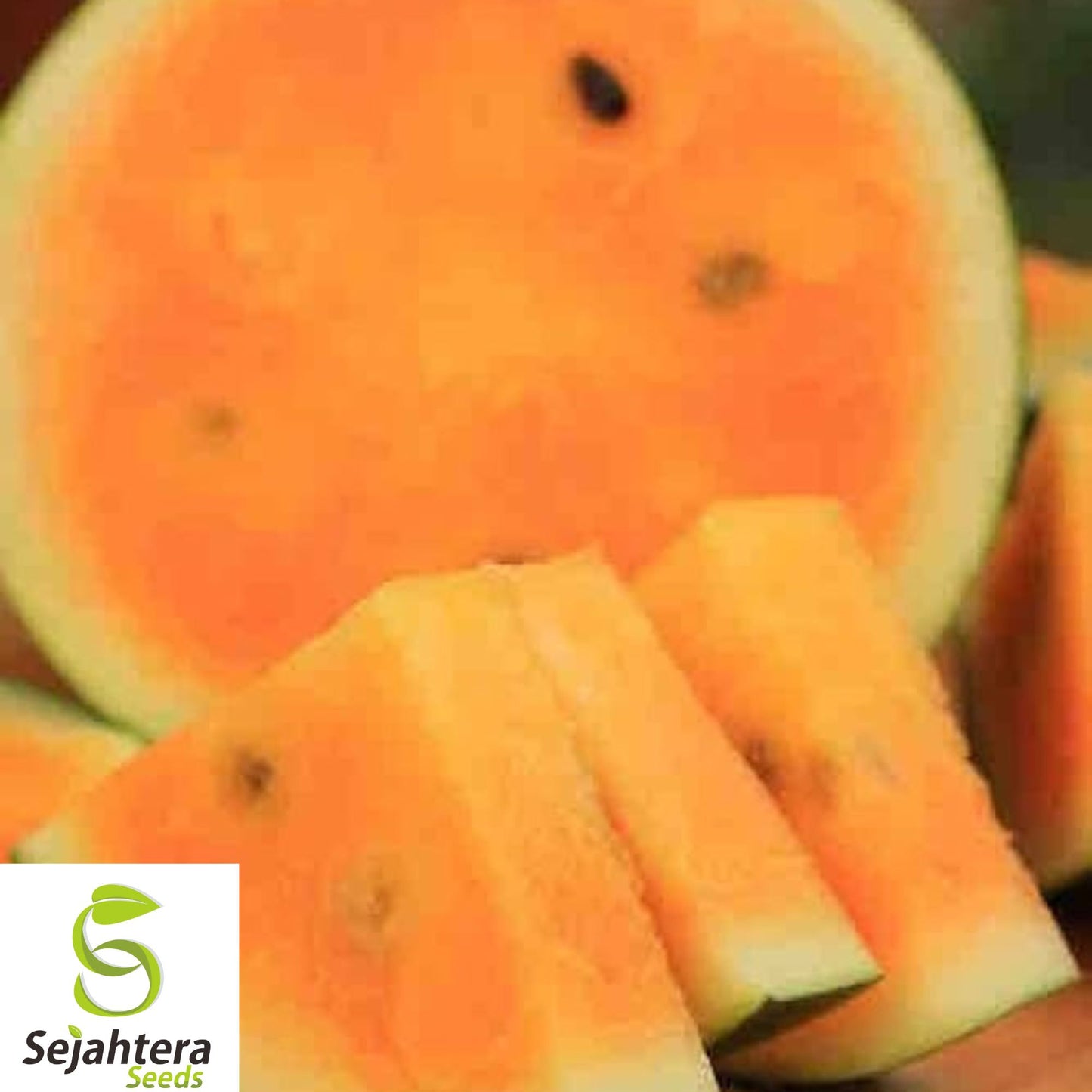 50+ Orange Krush Watermelon Seeds - Heirloom, Non-GMO, Rare & Sweet Juicy Melons