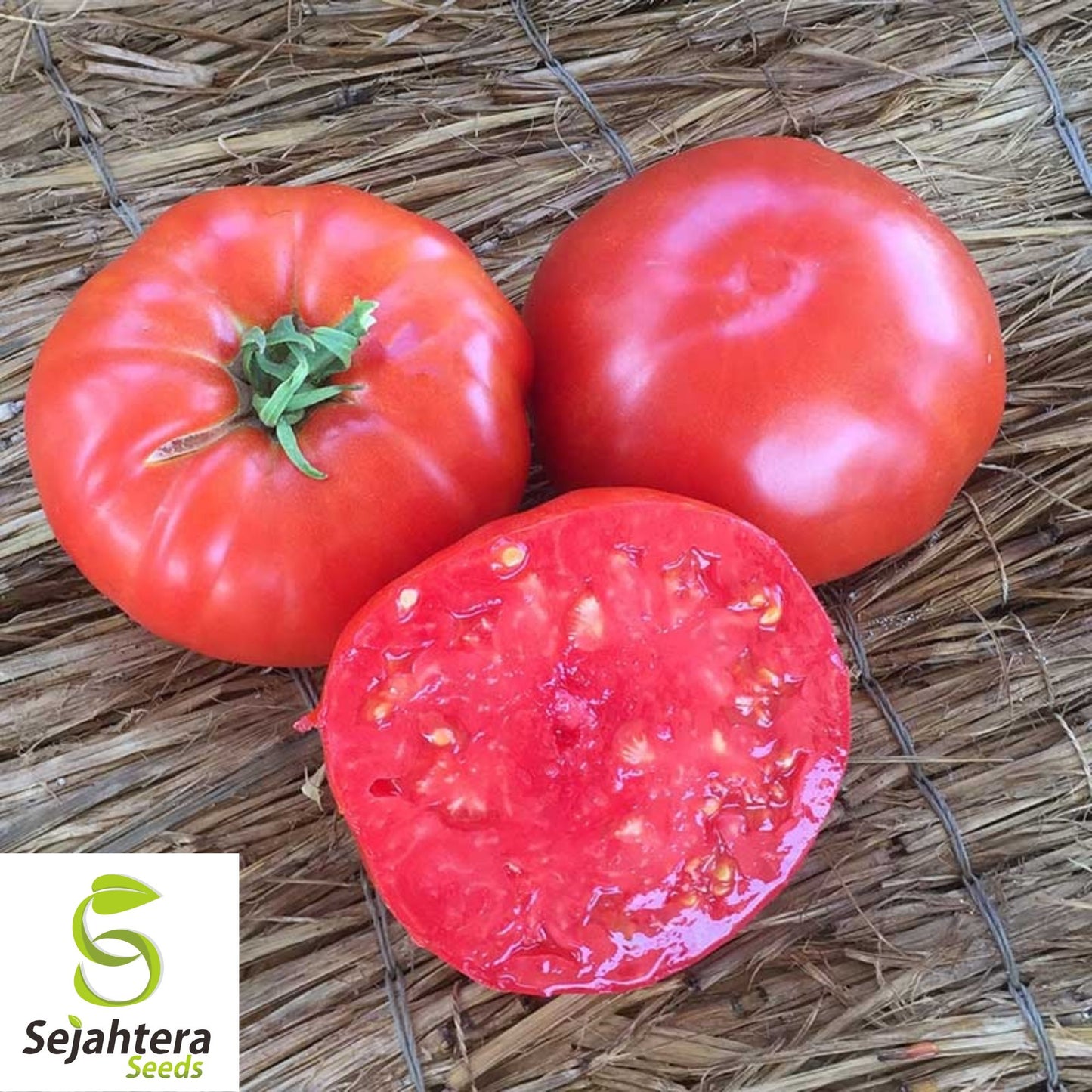 Giant Beefsteak Tomato Seeds - 120+ Heirloom, Organic, Non-GMO & Huge