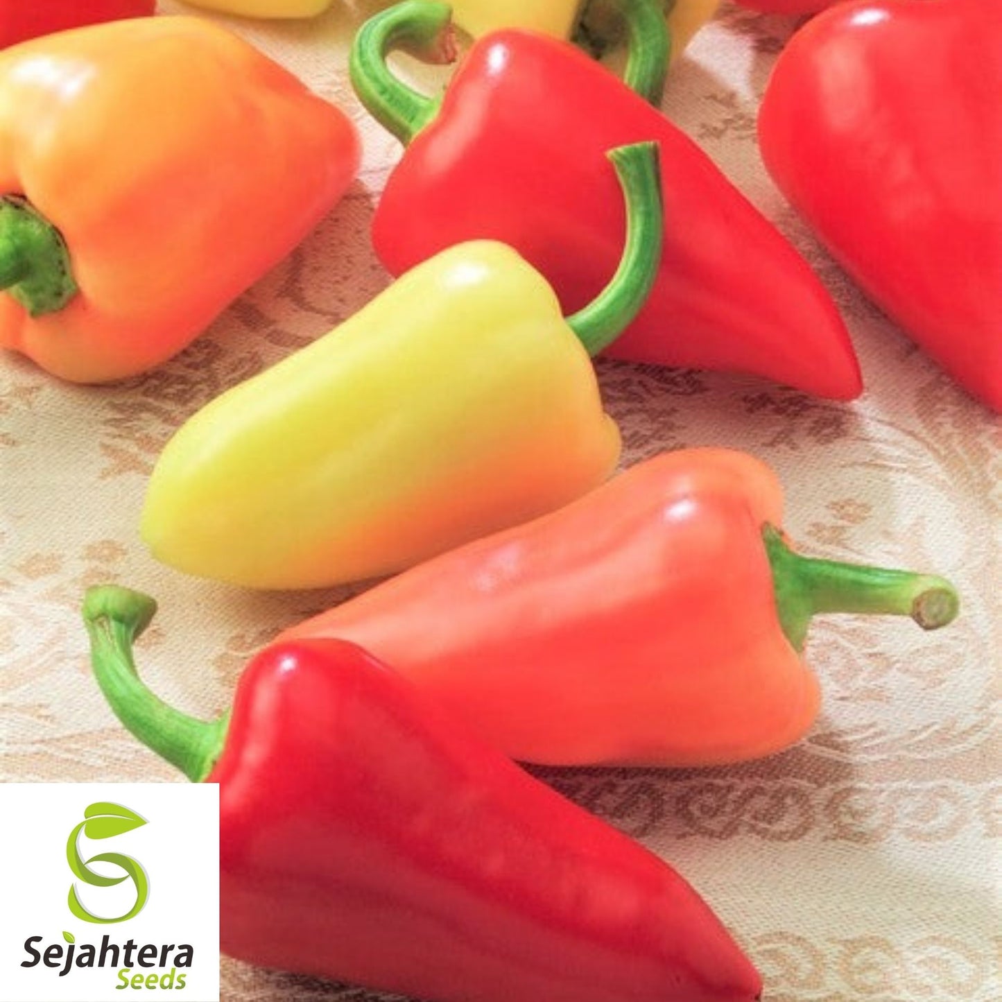 Santa Fe Grande Hot Pepper Seeds 25+ | Heirloom NON-GMO Vegetable USA
