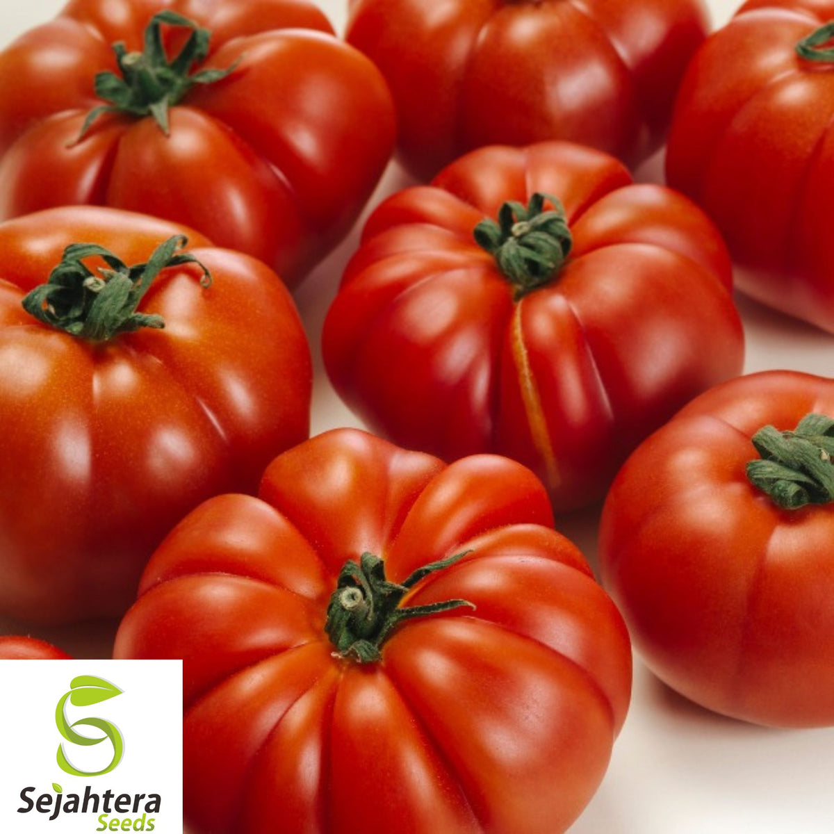 30+ Jersey Tomato Seeds - Beefsteak, Organic, Non-GMO, Juicy & Flavorful Variety
