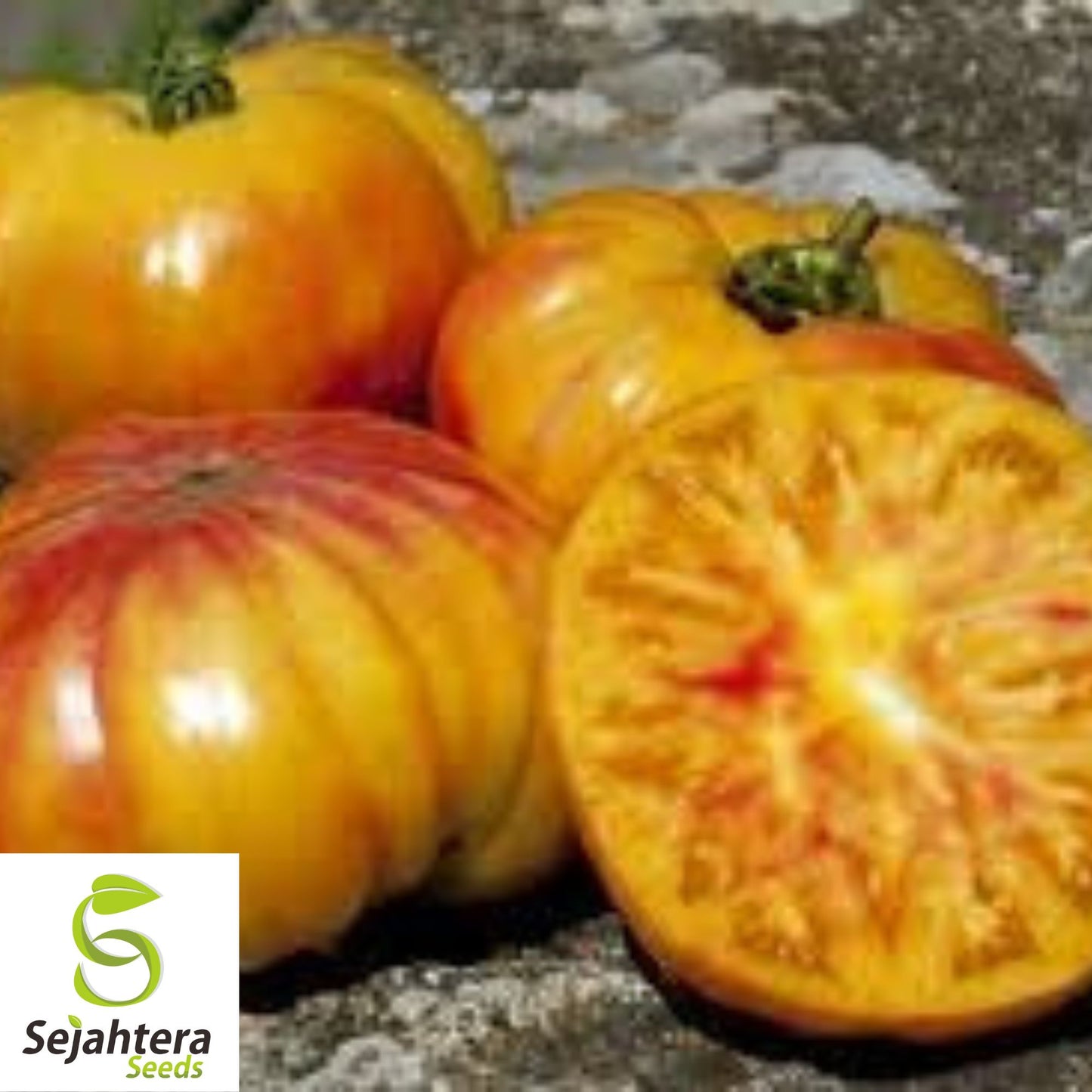 Buffalosun Tomato Seeds - 120+ Hybrid F1, Organic, High Yield & Fresh