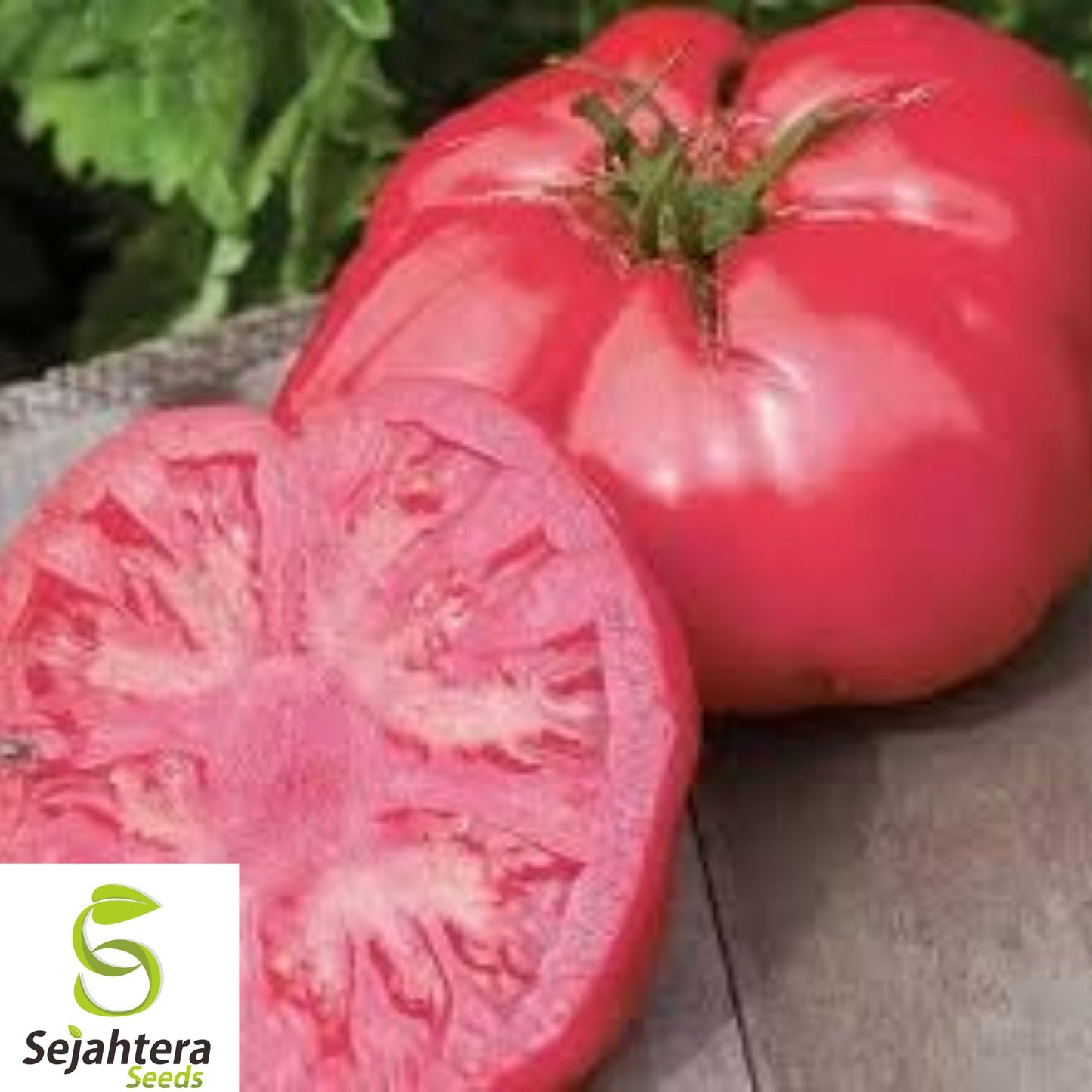 120+ Giant Beefsteak Tomato Seeds - Heirloom, Organic, Non-GMO, Huge & Juicy