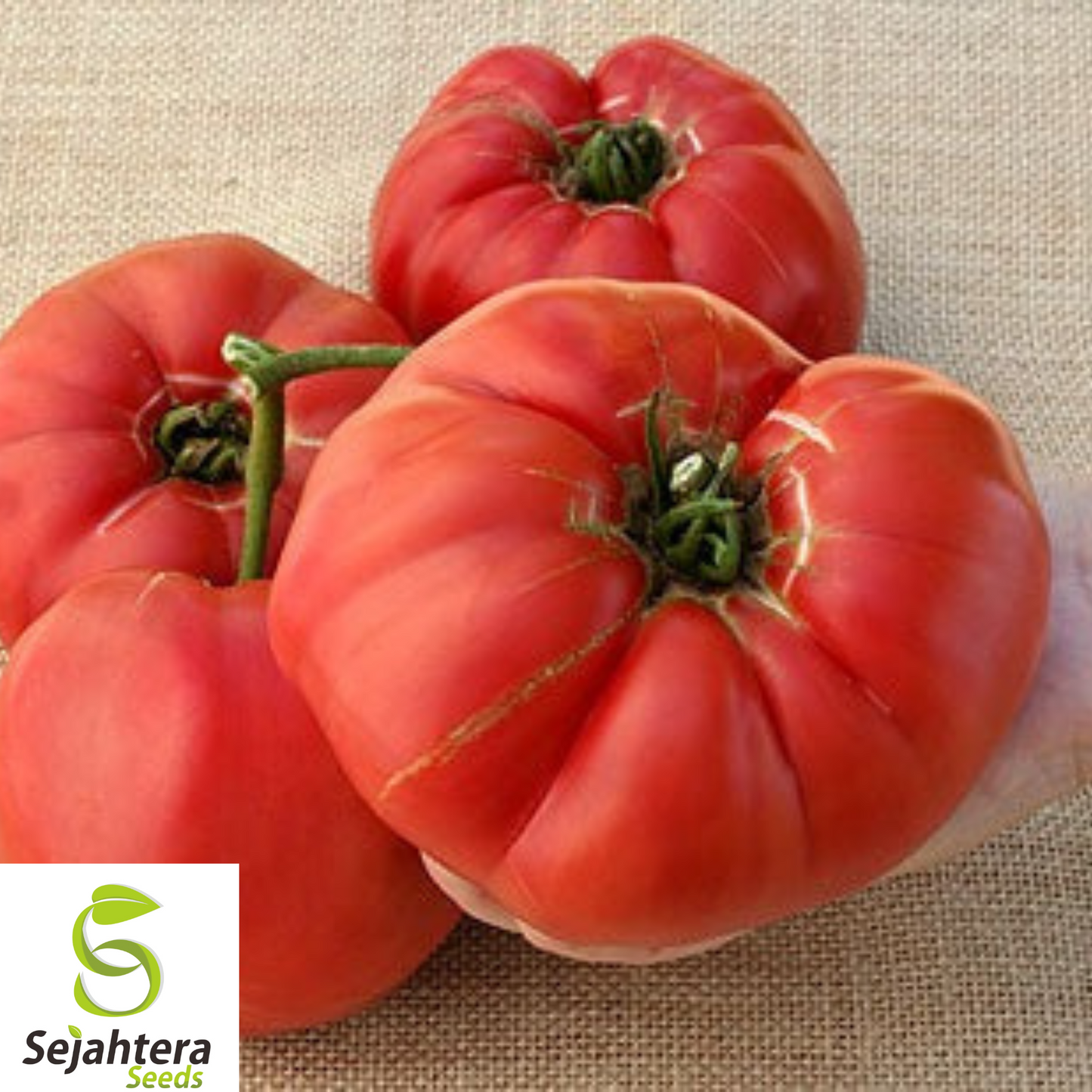 German Giant Tomato Seeds - 30+ Heirloom, Organic, Non-GMO, Huge & Flavorful