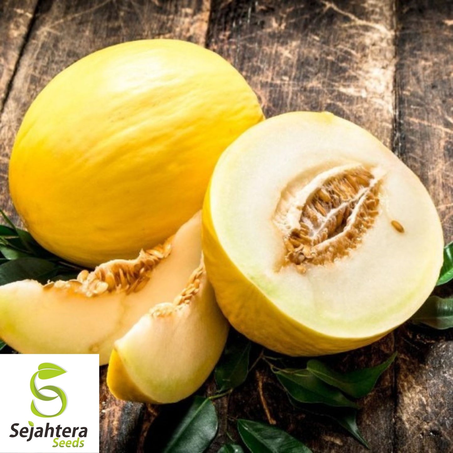 Crenshaw Sweet Melon Seeds {Cucumis melo} Heirloom 40+ Seeds