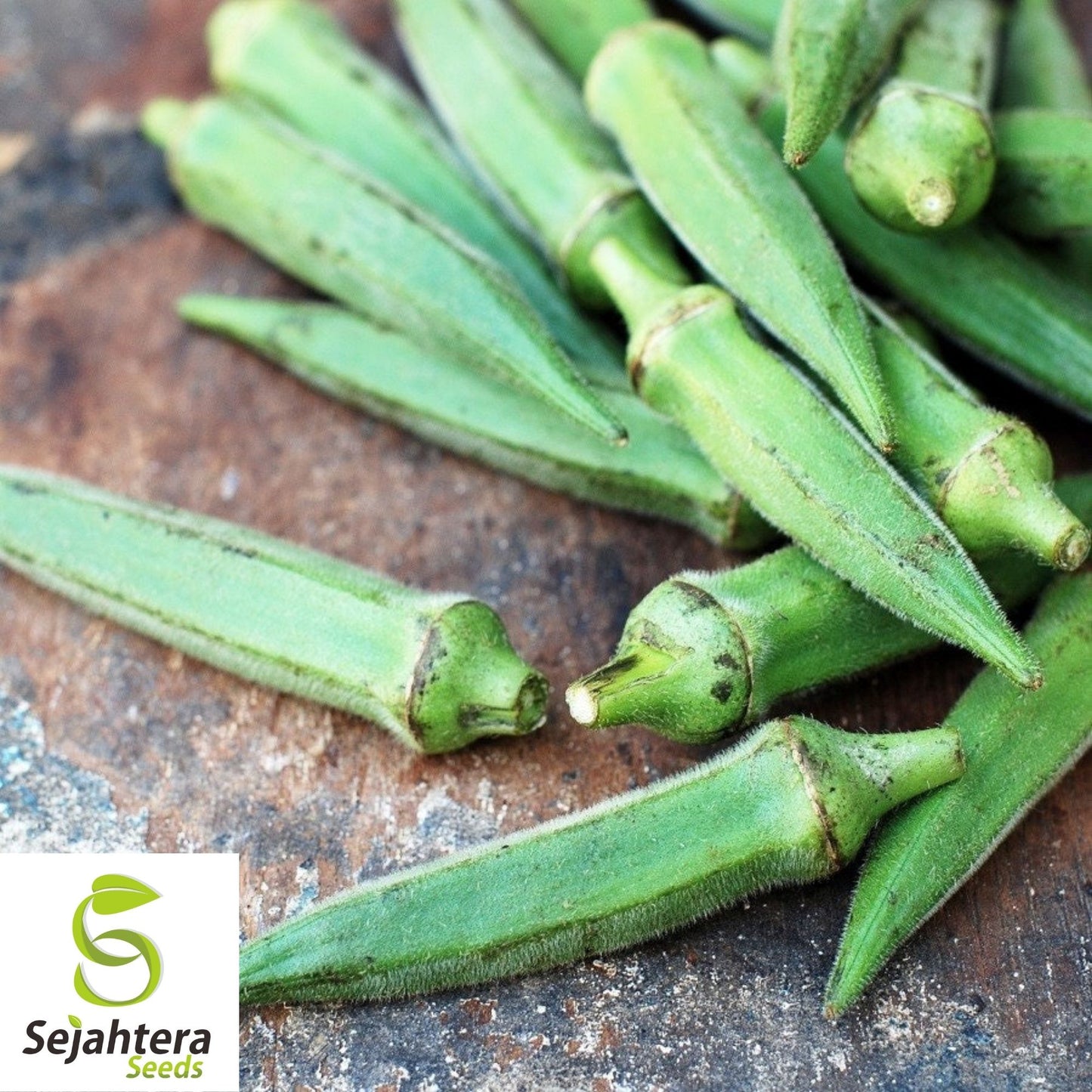 Emerald Okra Seeds 50 Ct | Heirloom Vegetable Garden NON-GMO USA
