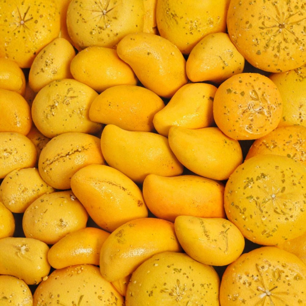 Choc Anon “Miracle” Mango Tree – Mangifera indica Grafted Live Tree | 2–4 Feet Tall | Thai Double-Crop Variety Sweet & Fiberless | Honey Flavor | Ships to All States