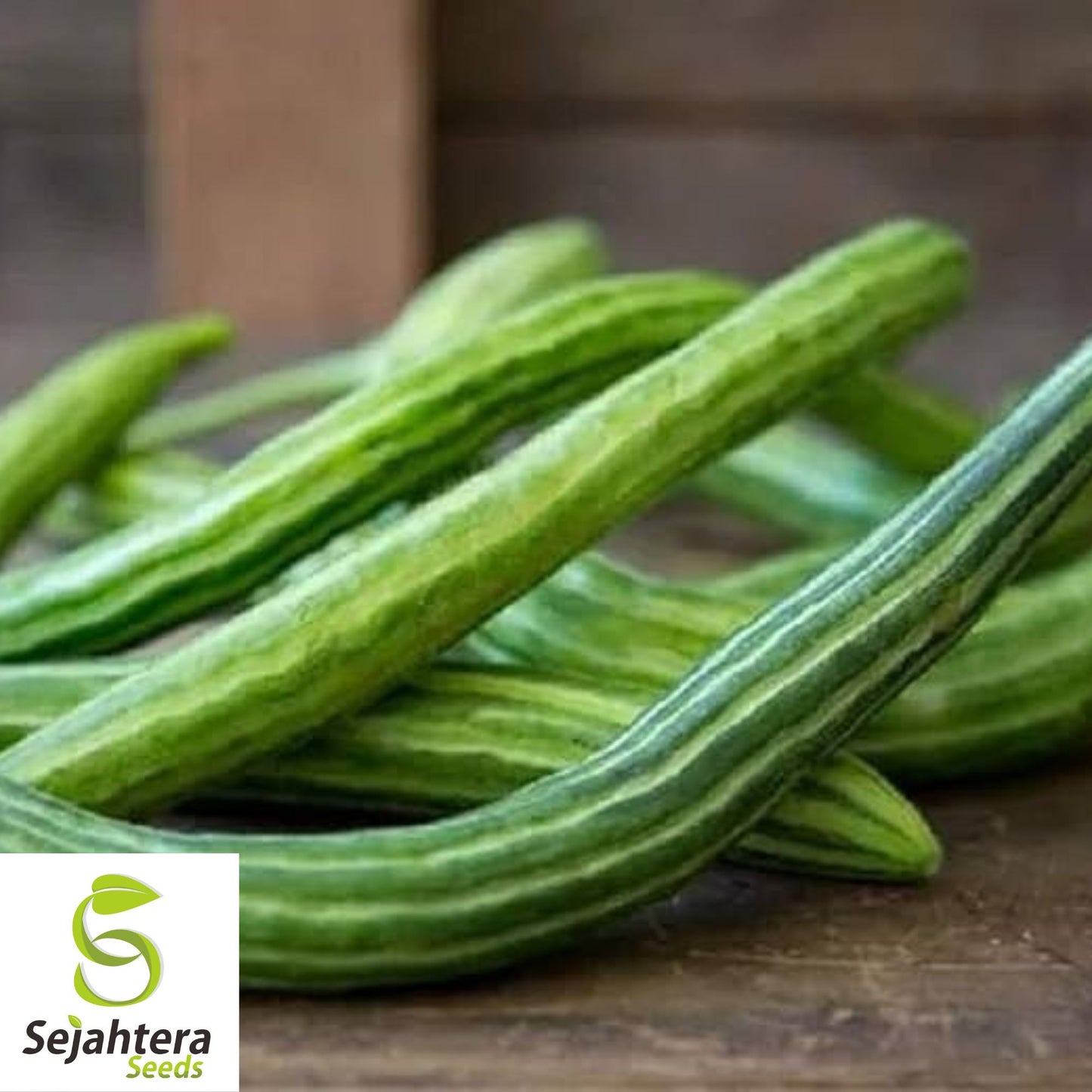 Painted Serpent Cucumber Seeds - 25+ Organic, Heirloom, Non-GMO & Rare