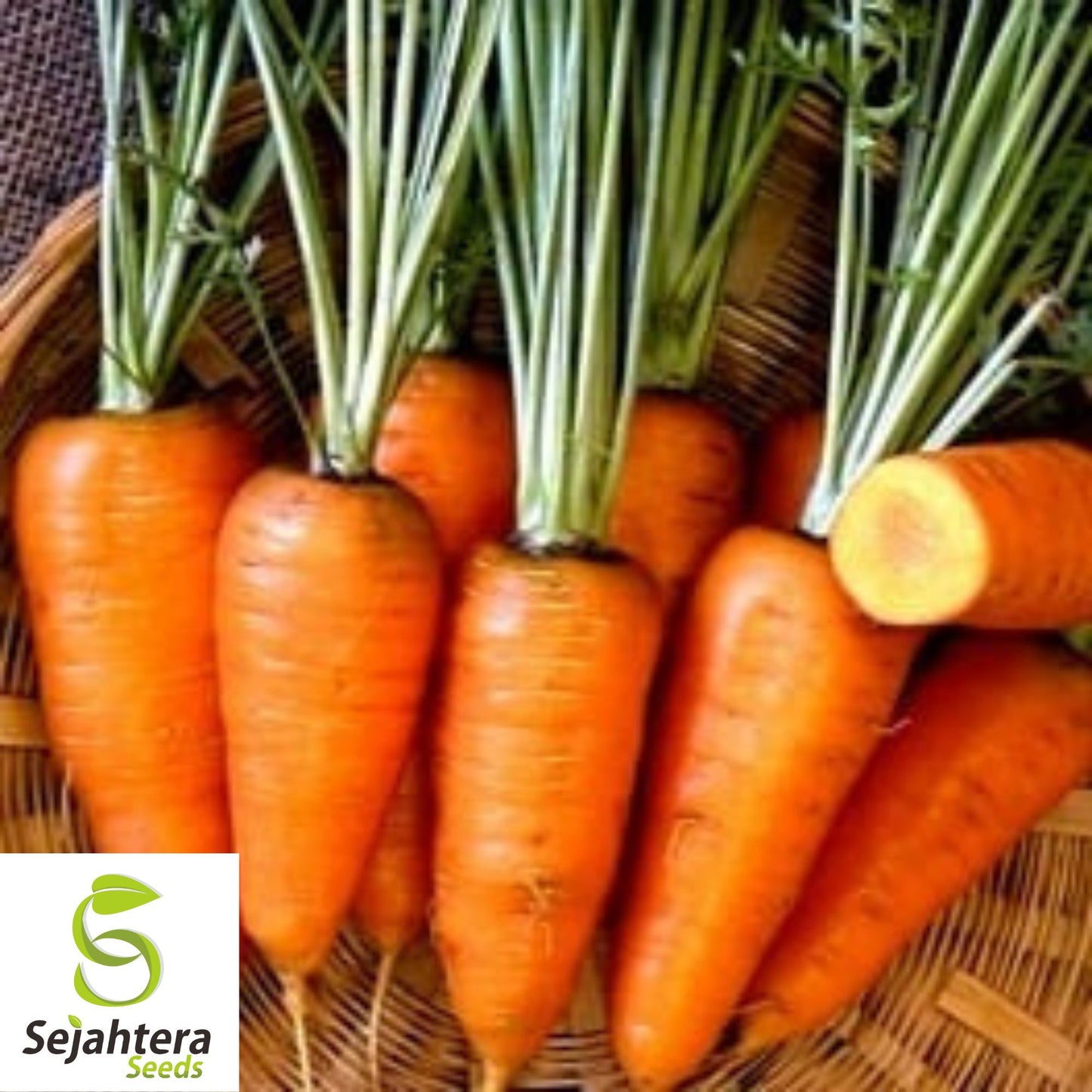 150+ Oxheart Orange Carrot Seeds - Non-GMO, Sweet Heirloom Vegetable