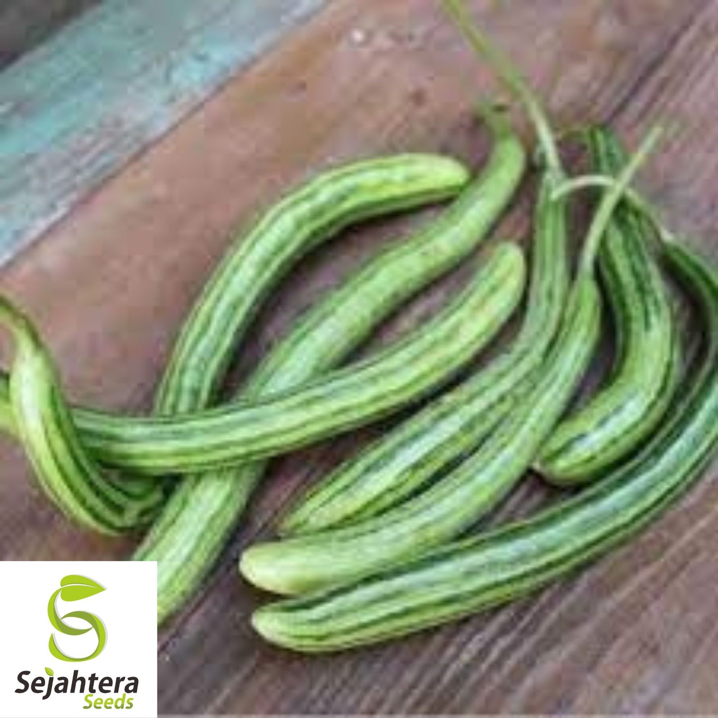 Painted Serpent Cucumber Seeds - 25+ Organic, Heirloom, Non-GMO & Rare