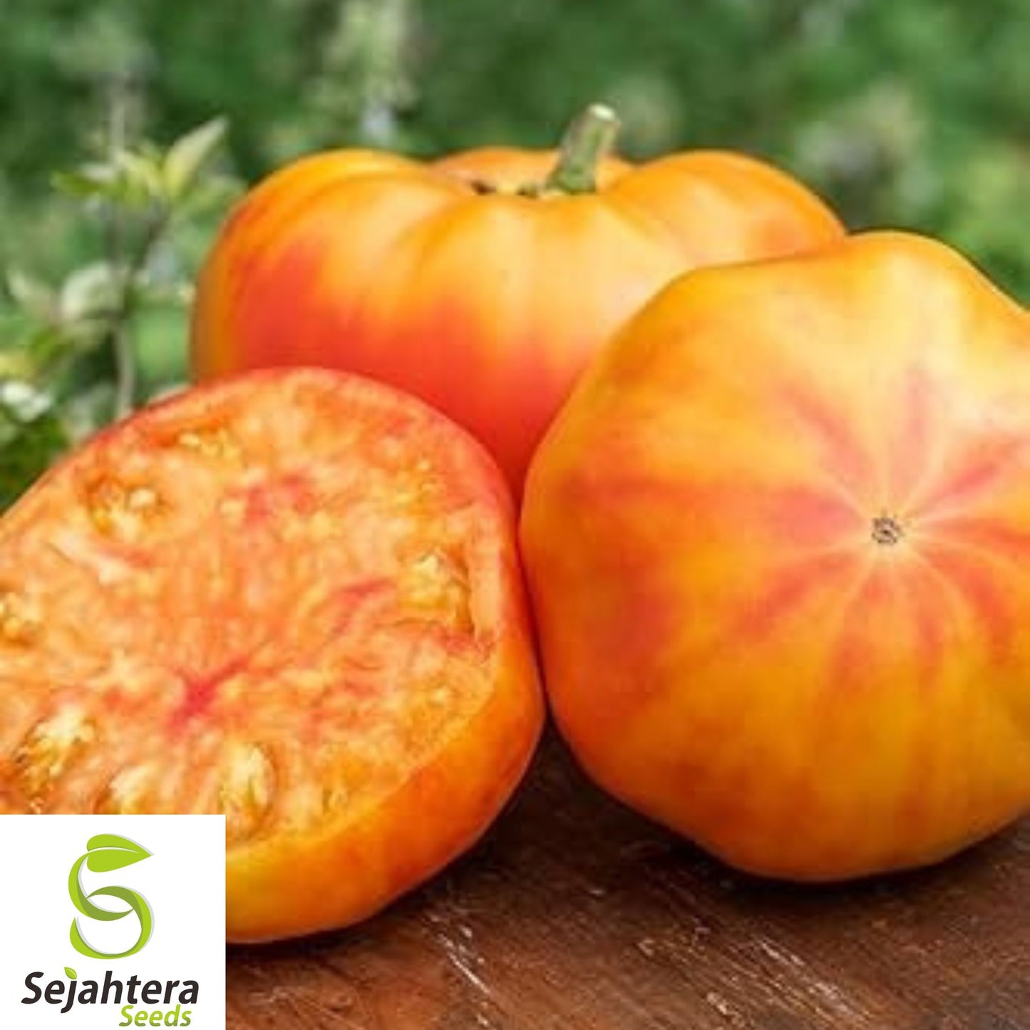 30+ Big Rainbow Tomato Seeds - Heirloom, Organic, Non-GMO, Rare & Juicy Variety