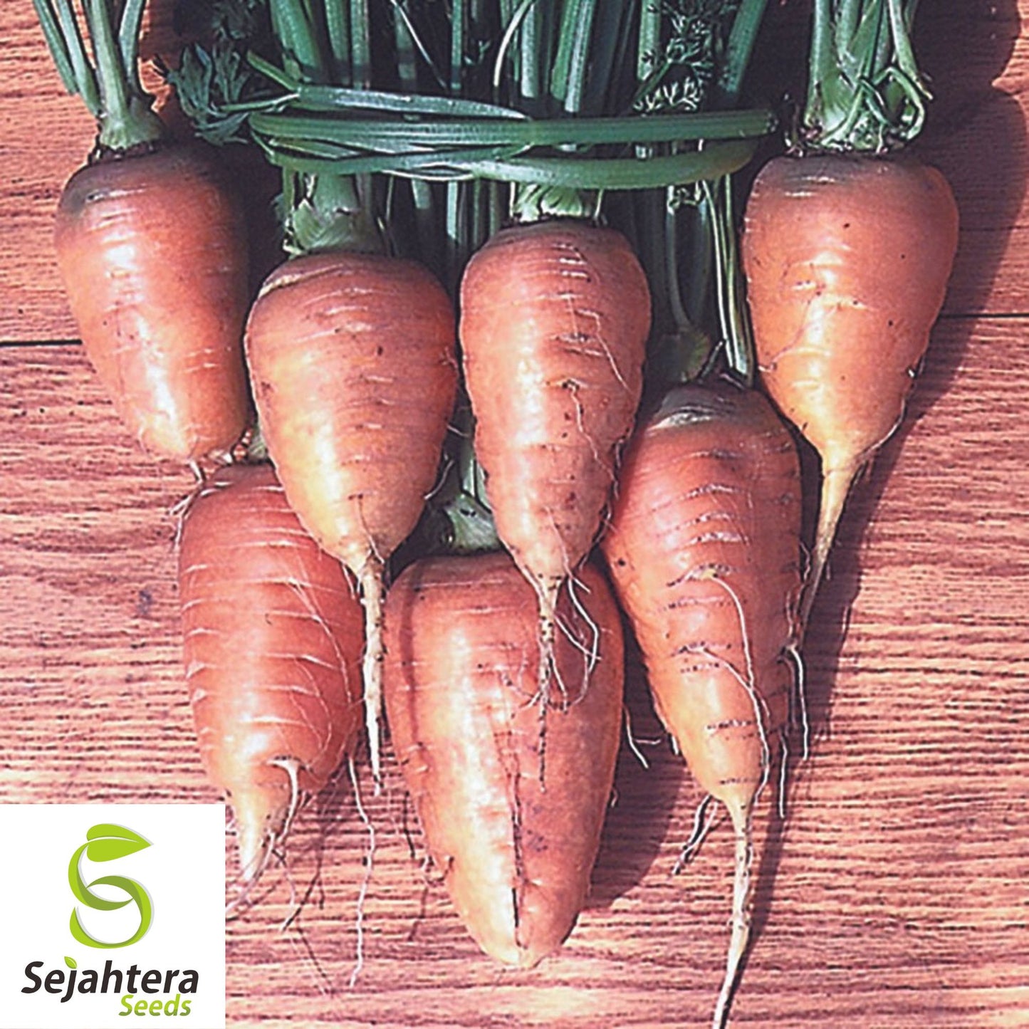 150+ Oxheart Orange Carrot Seeds - Non-GMO, Sweet Heirloom Vegetable