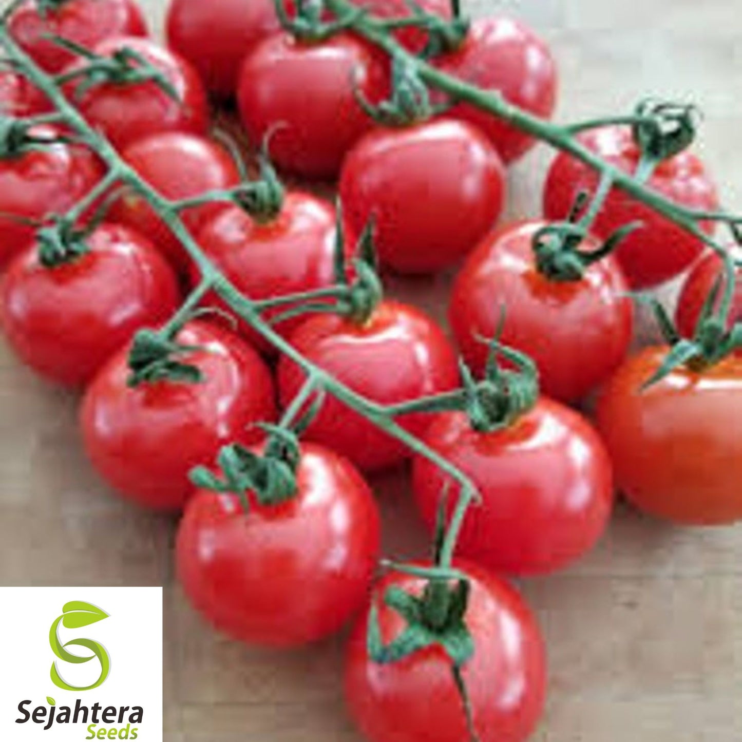 30+ Sugar Bomb Cherry Tomato Seeds - Heirloom, Organic, Non-GMO, Sweet & Juicy