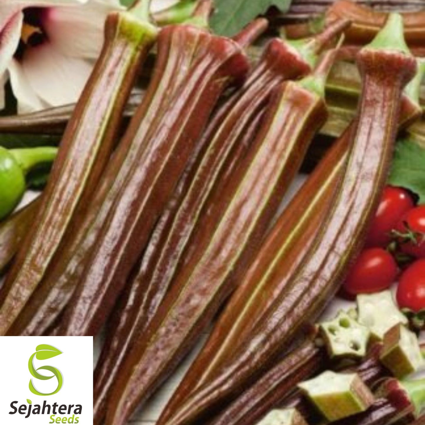50+ Red Burgundy Okra Seeds - Heirloom, Non-GMO, High-Yield & Fresh