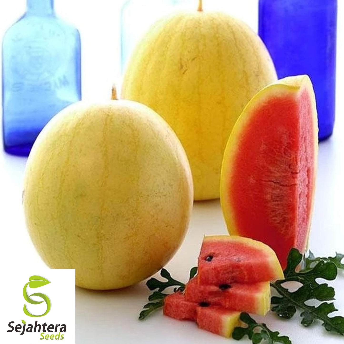 Golden Midget Watermelon Seeds - 12+ Heirloom, Non-GMO, Organic & Mini