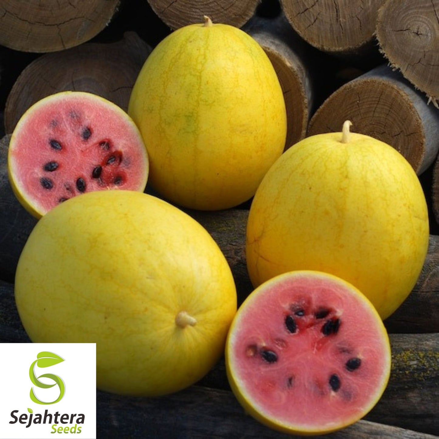Golden Midget Watermelon Seeds - 12+ Heirloom, Non-GMO, Organic & Mini