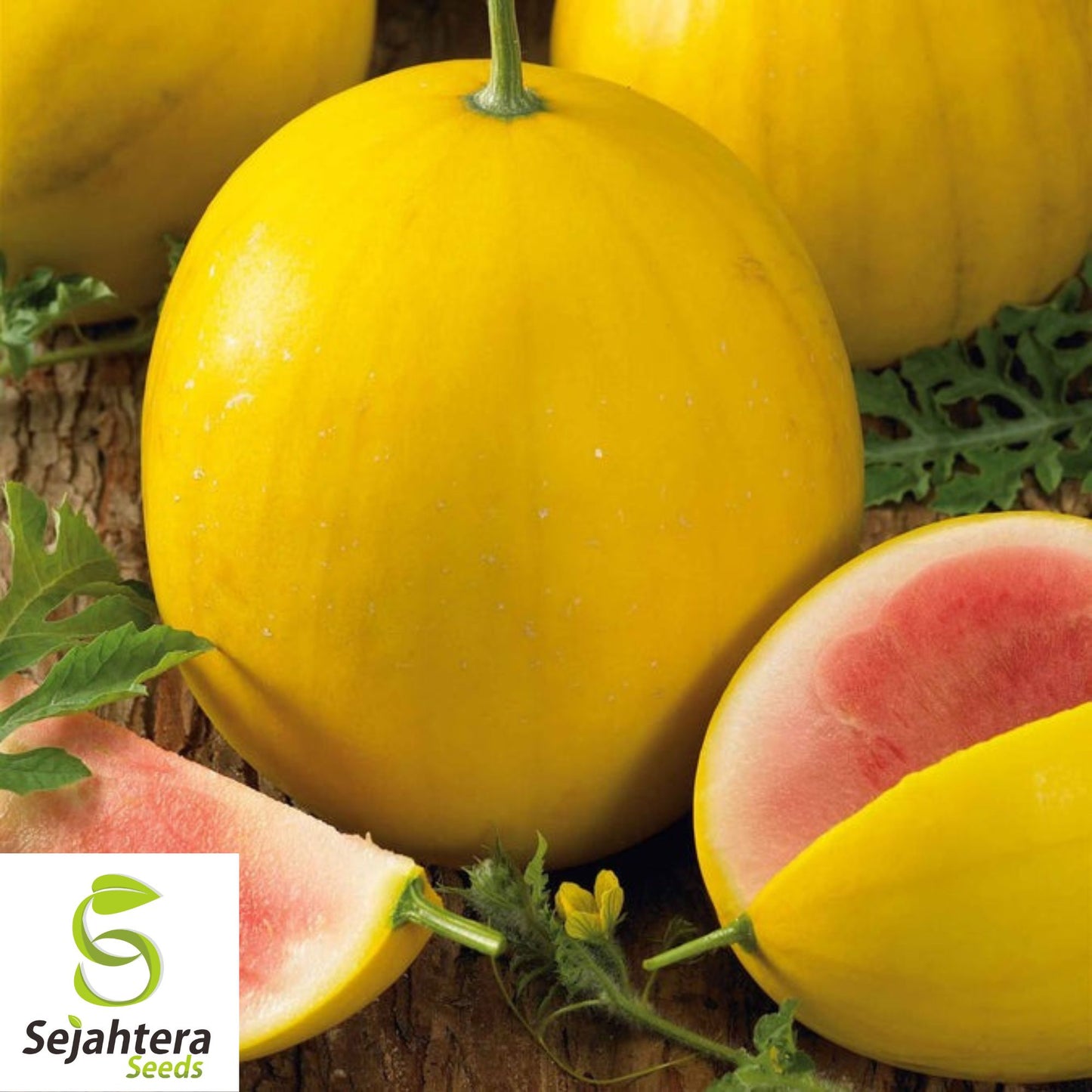 Golden Midget Watermelon Seeds - 12+ Heirloom, Non-GMO, Organic & Mini