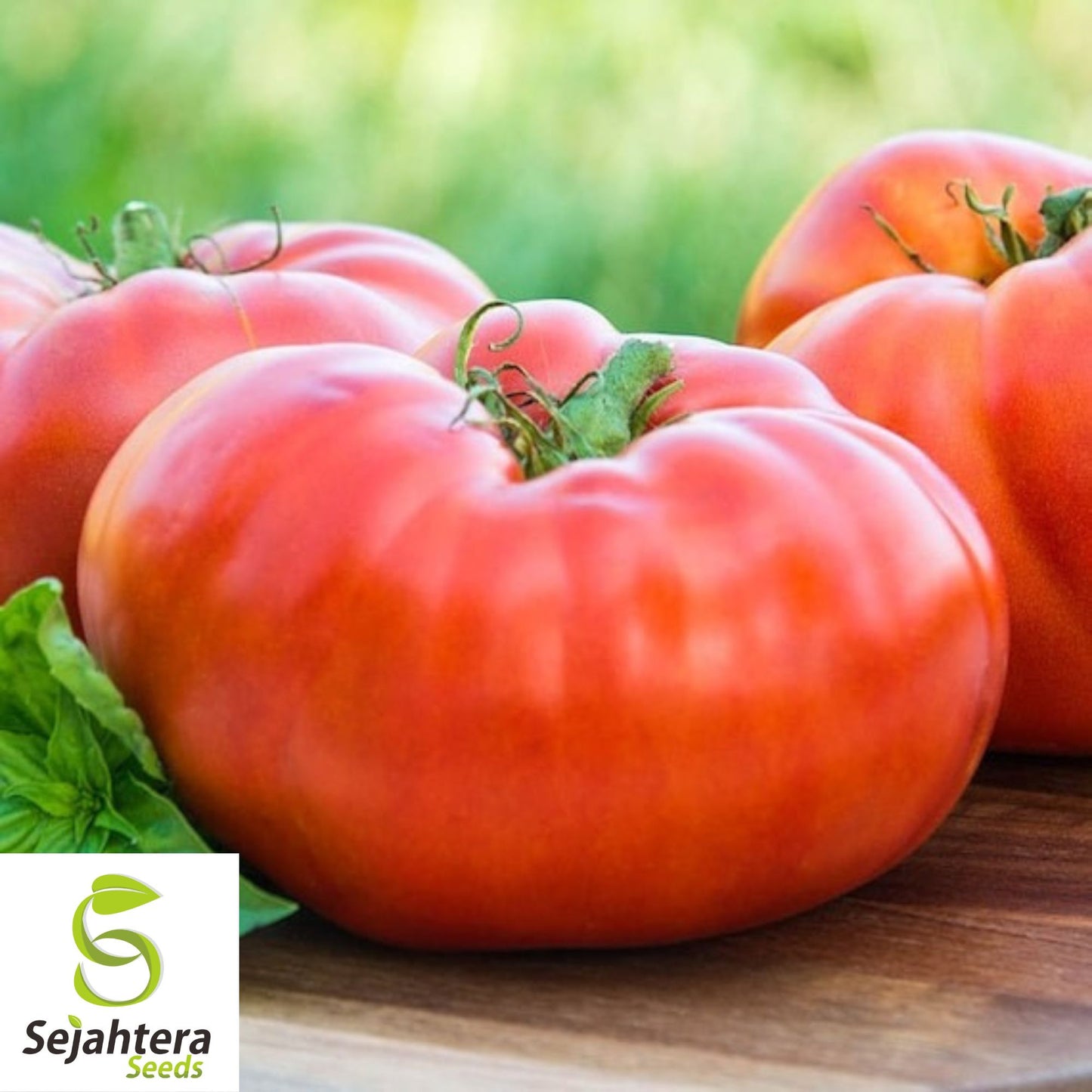 50 Red Brandywine Tomato Seeds - Heirloom, Non-GMO & Flavorful Variety