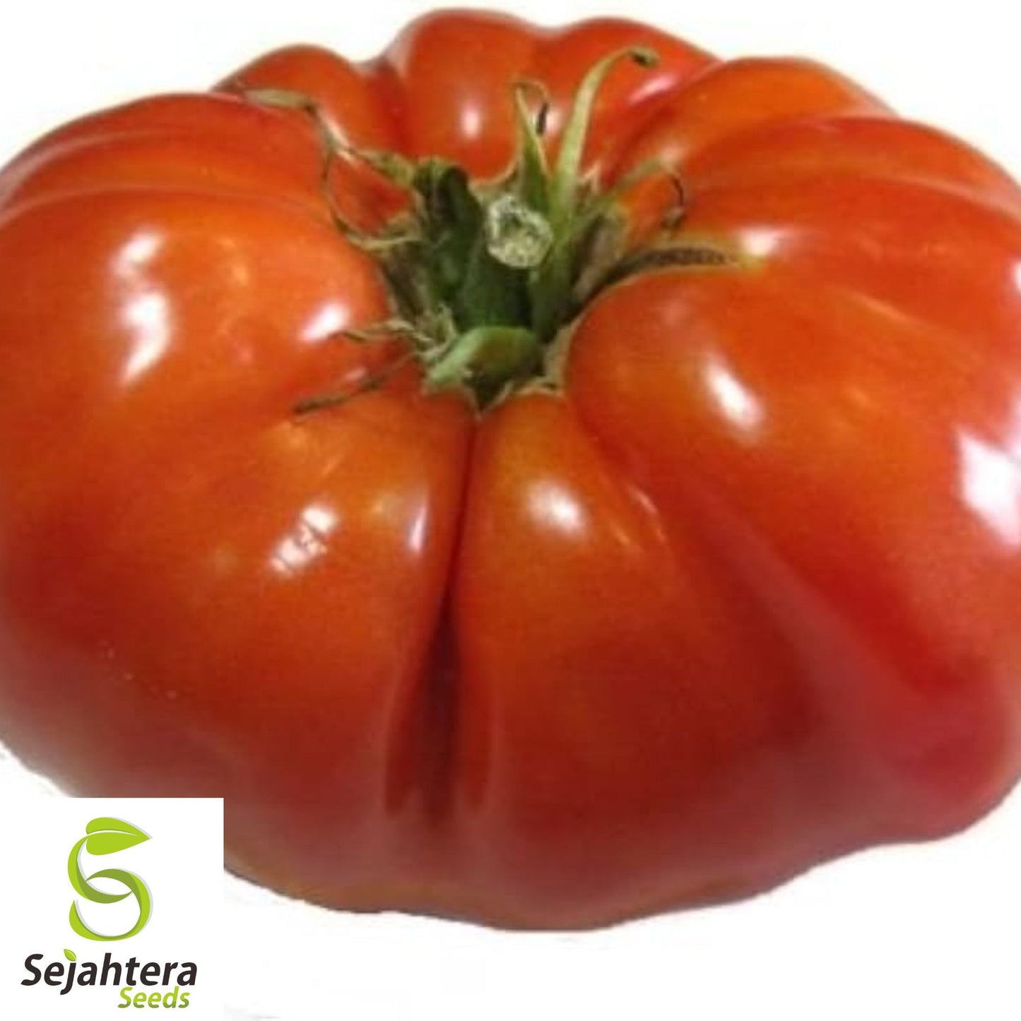 50 Red Brandywine Tomato Seeds - Heirloom, Non-GMO & Flavorful Variety
