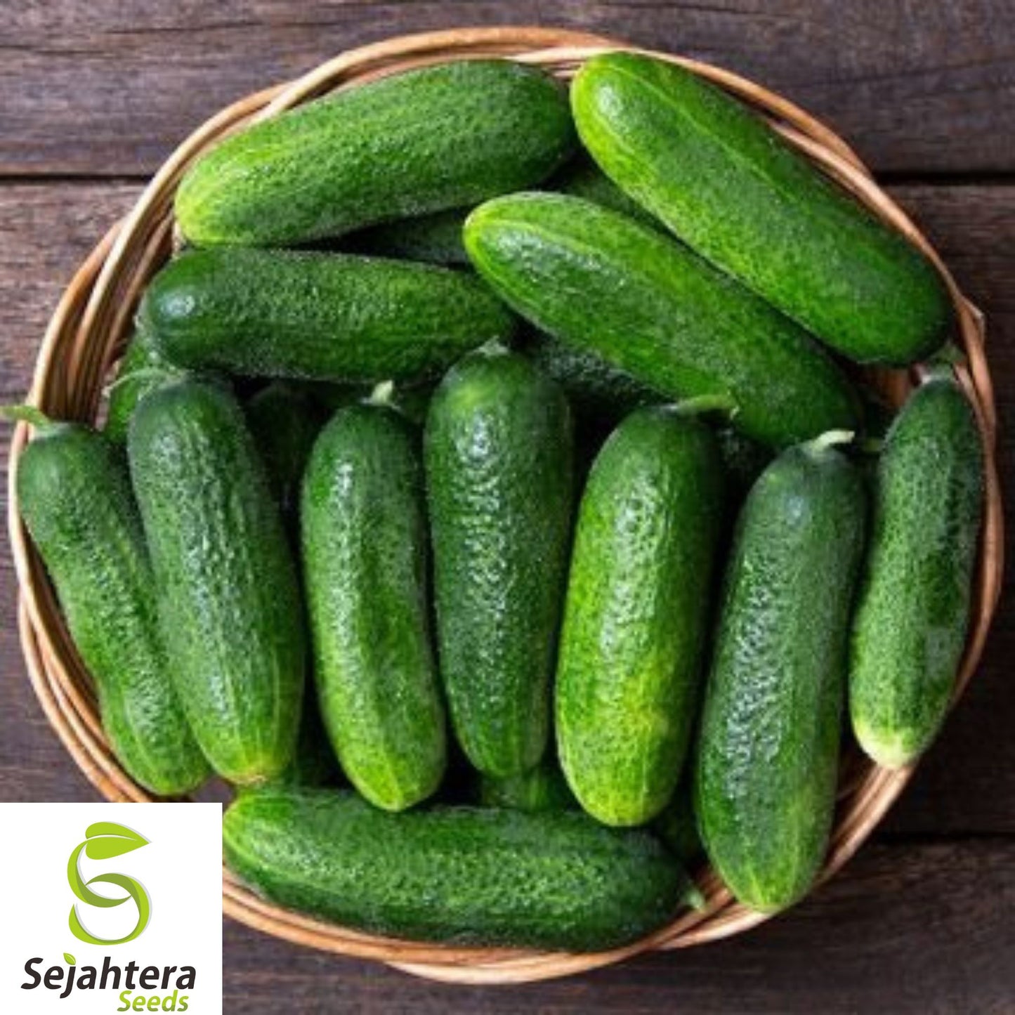 50+ Carolina Cucumber Seeds - Heirloom, Organic, Non-GMO, Crisp & High-Yield