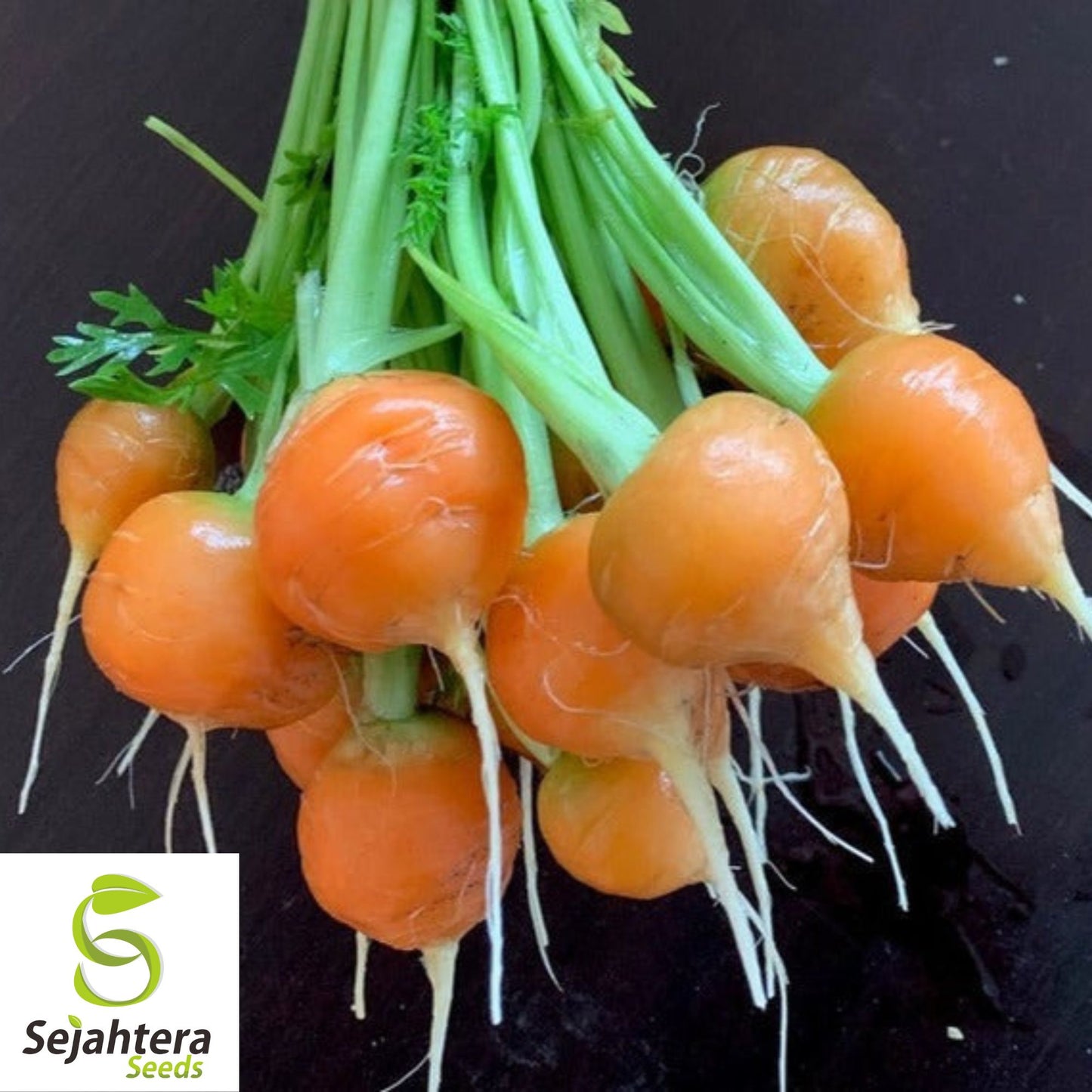 300 Parisian Market Carrot Seeds - Non-GMO, Round & Sweet Heirloom Variety