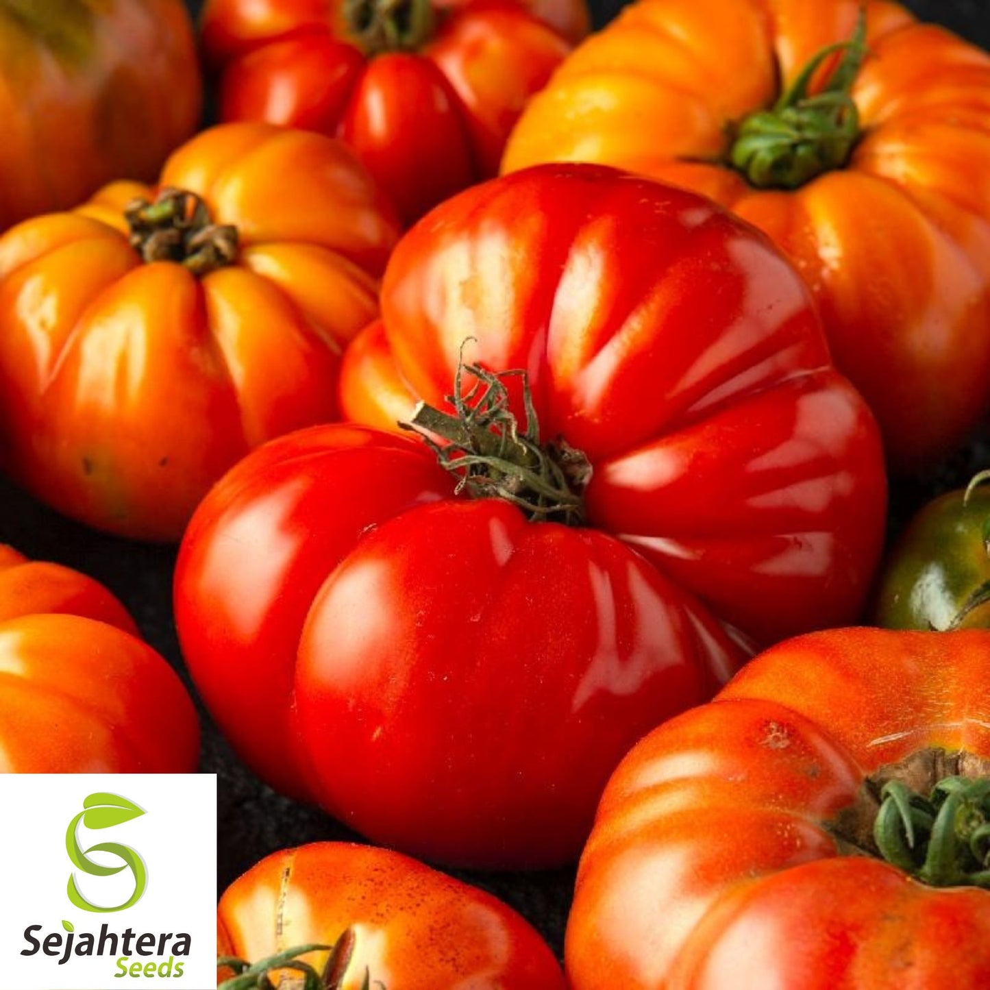 50 Red Brandywine Tomato Seeds - Heirloom, Non-GMO & Flavorful Variety