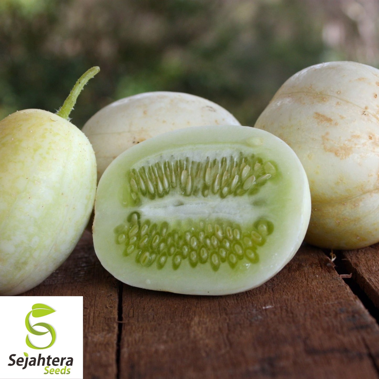 Crystal Apple Cucumber Seeds 20+ | Heirloom NON-GMO Vegetable Garden USA