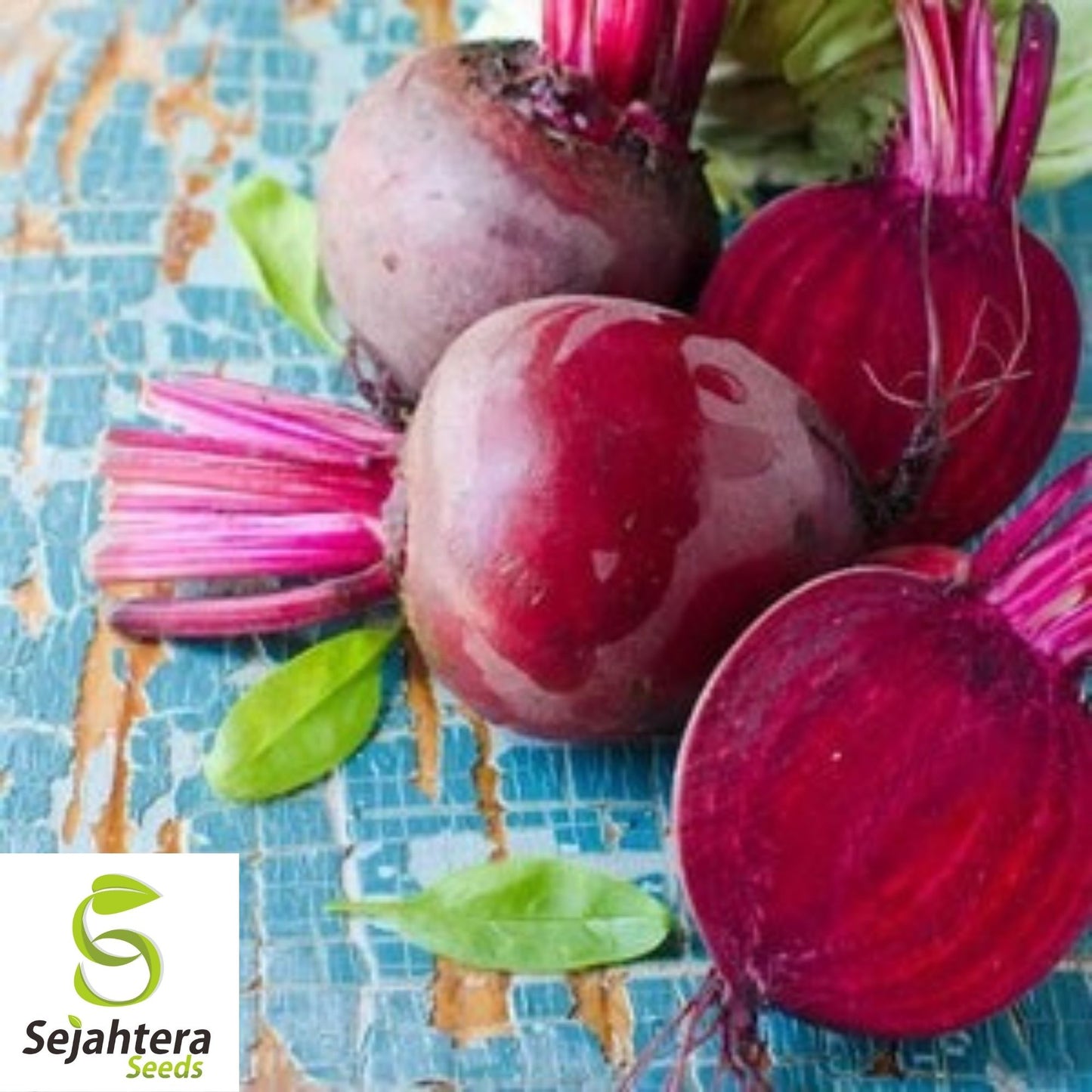 Ruby Queen Beet Seeds 200 Ct | Vegetable Garden NON-GMO USA