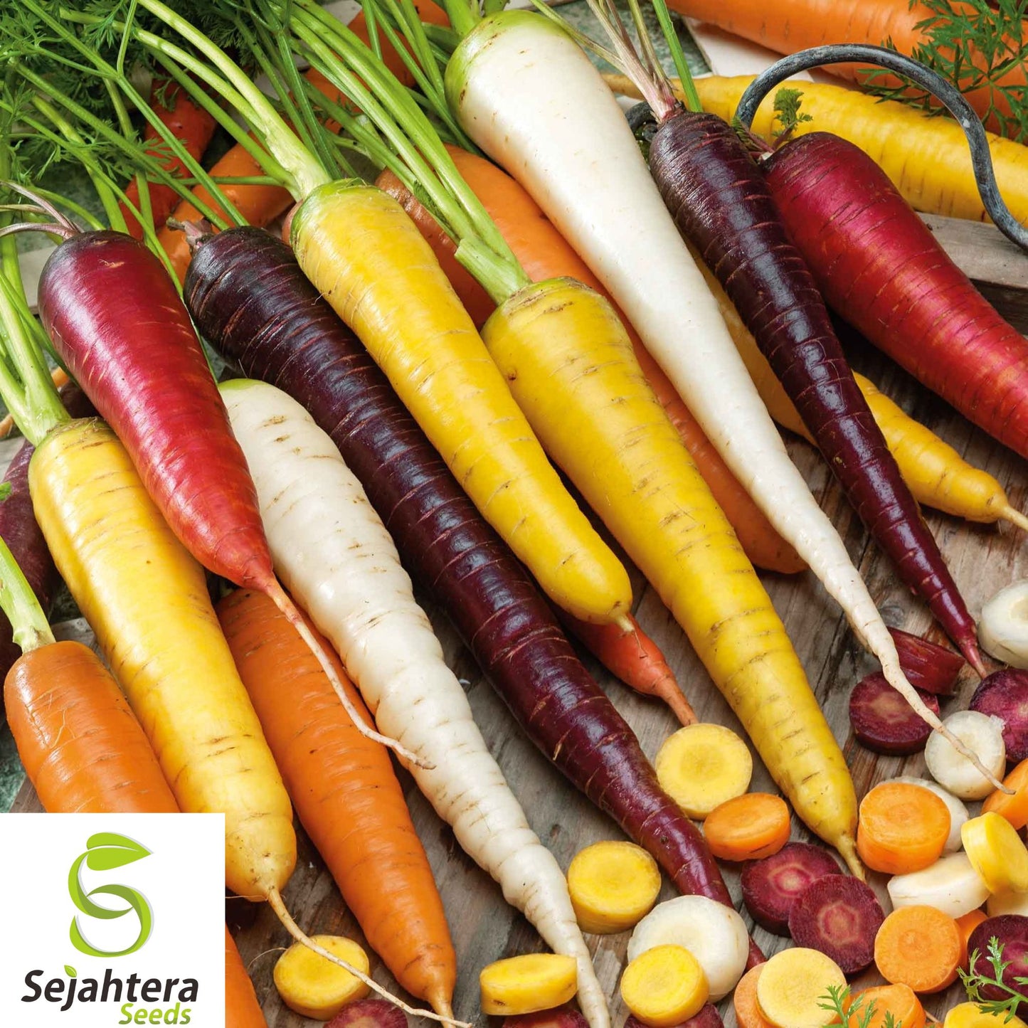 200+ Rainbow Carrot Seeds - Heirloom, Organic, Non-GMO, Colorful & Sweet Blend