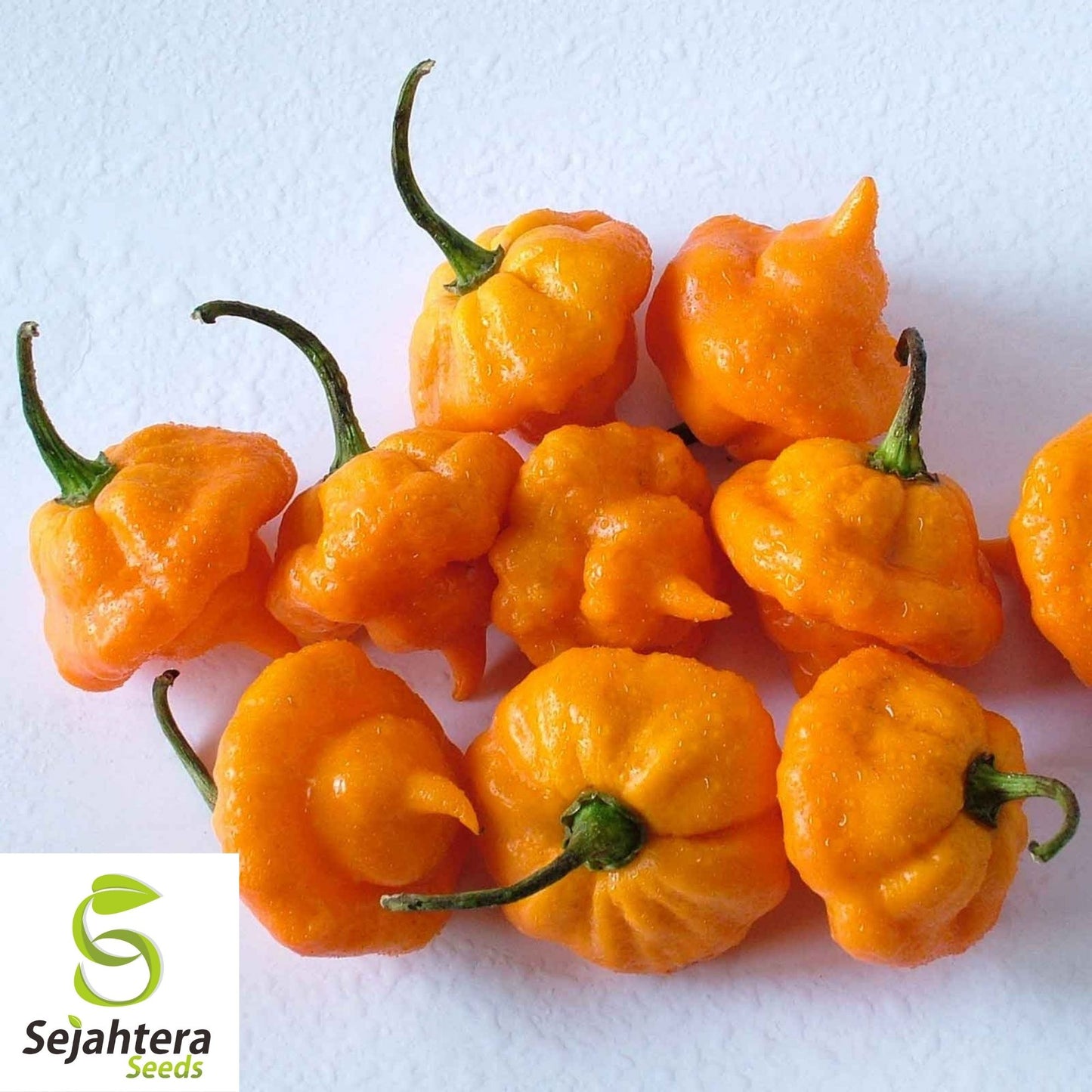 Jamaican Yellow Habanero Pepper Seeds 25+ | Mushroom Chile Hot Pepper USA