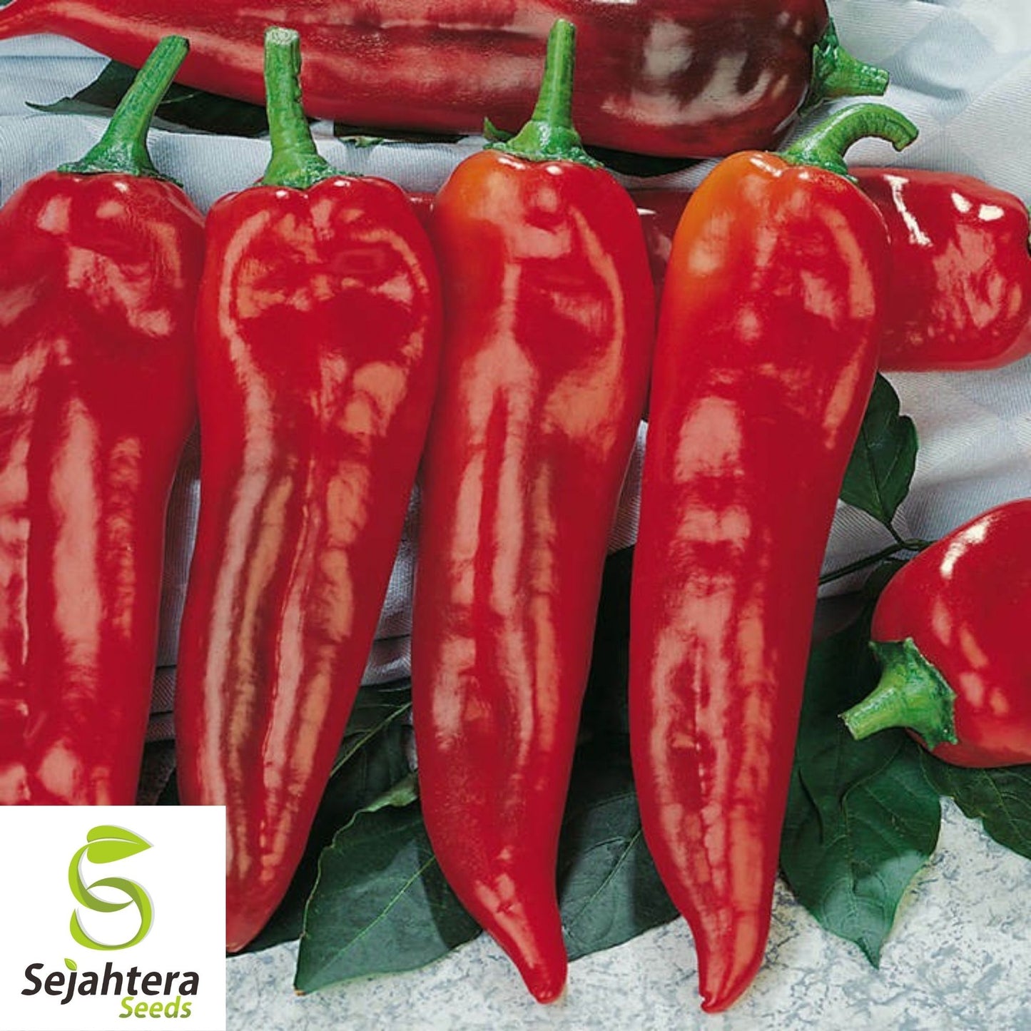 Corno di Toro Rosso Pepper Seeds 30+ | Sweet Italian "Bull's Horn" Red USA