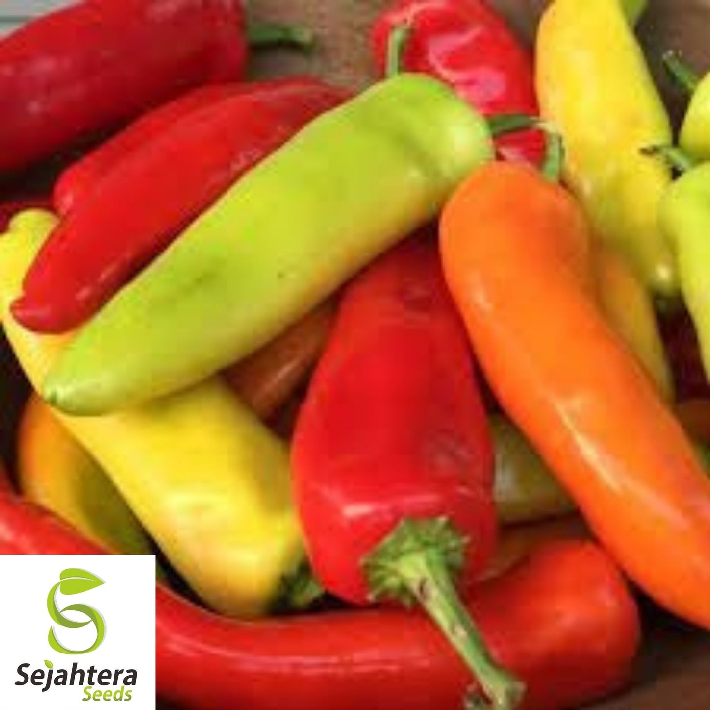 Hungarian Hot Wax Pepper Seeds 50+ | Spicy Vegetable NON-GMO USA