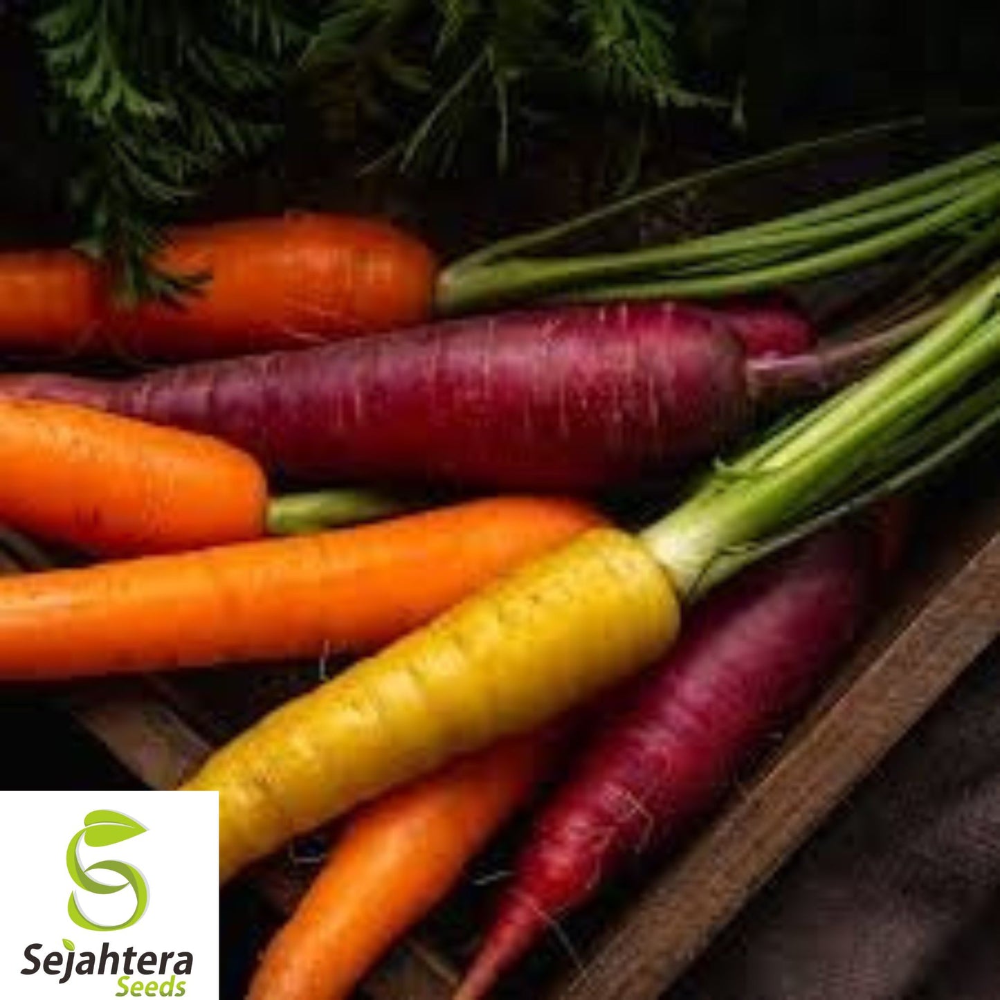 100+ Rainbow Carrot Blend Seeds - Heirloom, Organic, Non-GMO, Colorful & Sweet