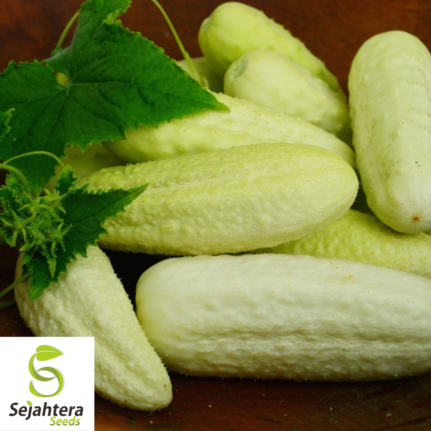 50+ White Wonder Cucumber Seeds - Heirloom, Non-GMO & Unique Variety