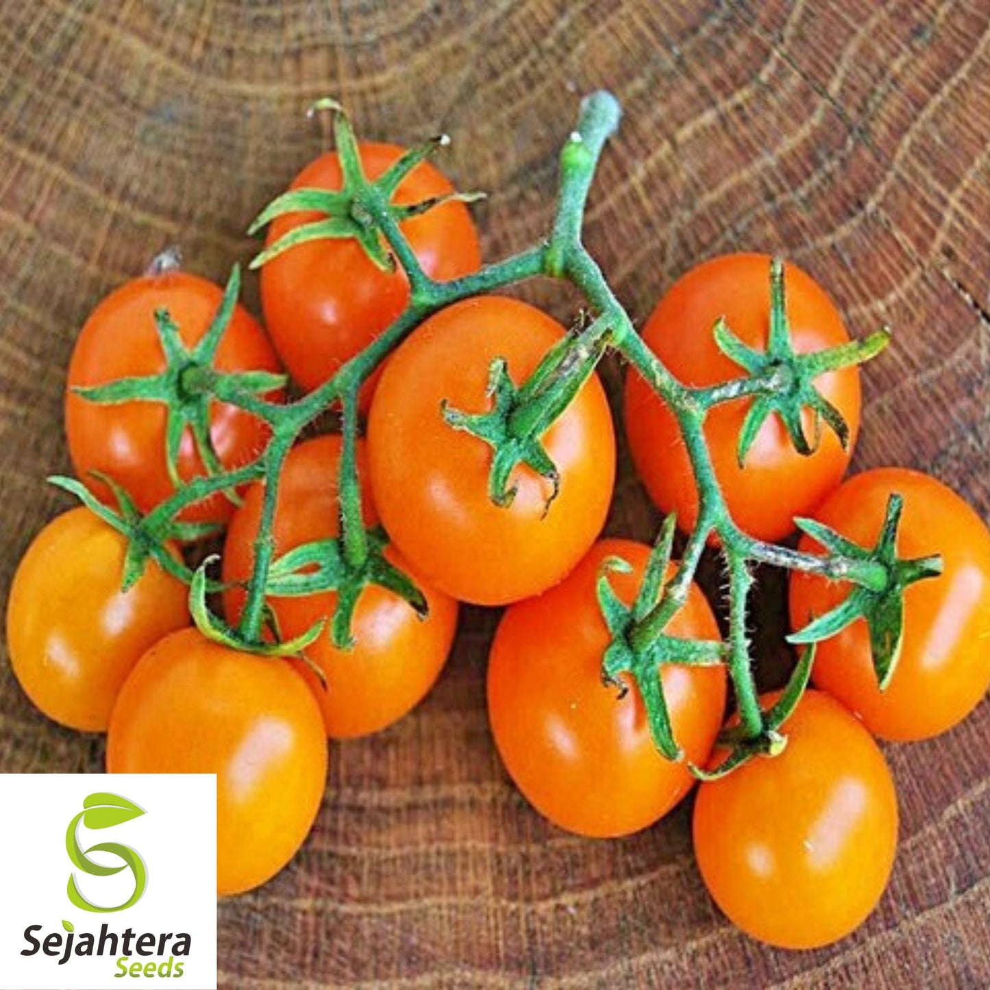 Orange Cherry Tomato Seeds - 30+ Heirloom, Organic, Non-GMO & Rare