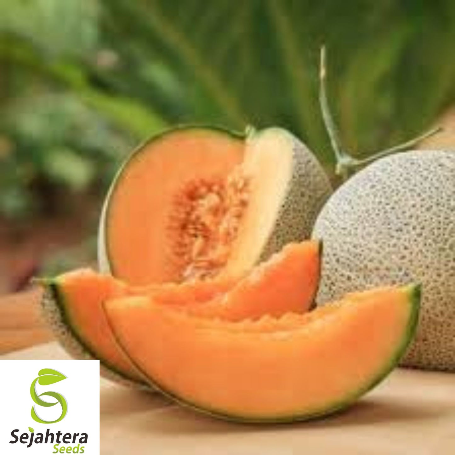 25+ Honey Rock Cantaloupe Seeds - Heirloom, Organic, Non-GMO, Sweet & Juicy Melon