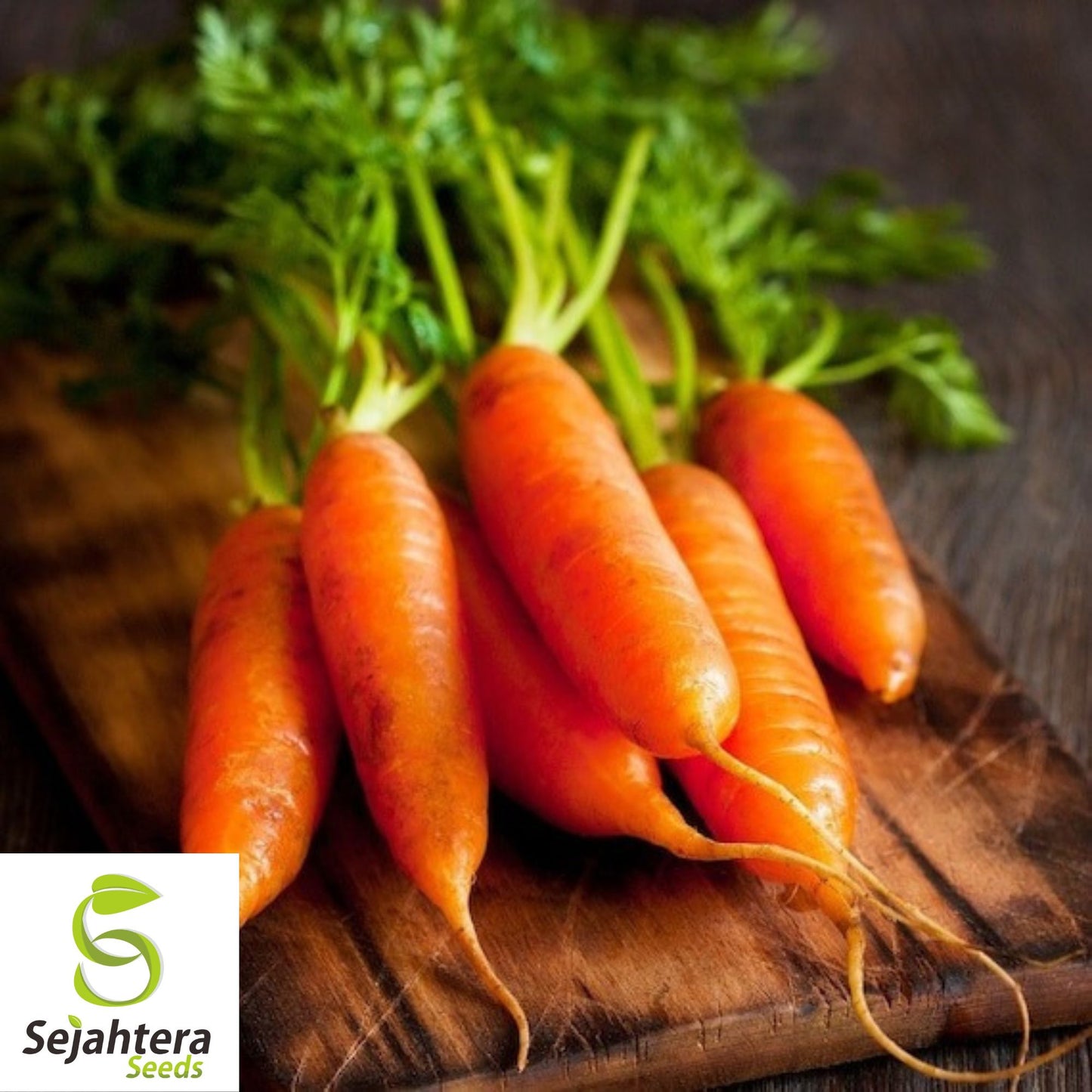 300 Little Fingers Carrot Seeds - Non-GMO, Sweet & Compact Variety