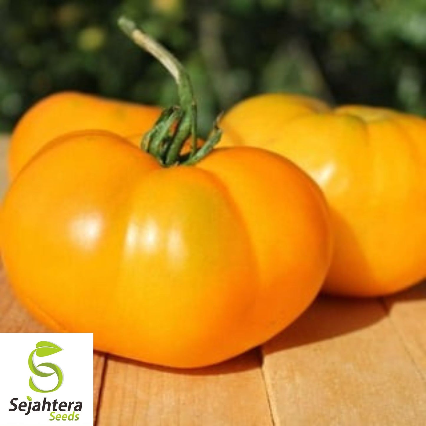 50 Yellow Brandywine Tomato Seeds - Heirloom, Non-GMO & Sweet Flavor
