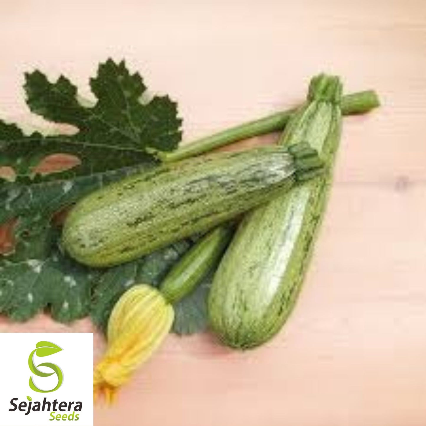 15 Caserta Zucchini Squash Seeds - Summer Vegetable, Non-GMO, High Yield