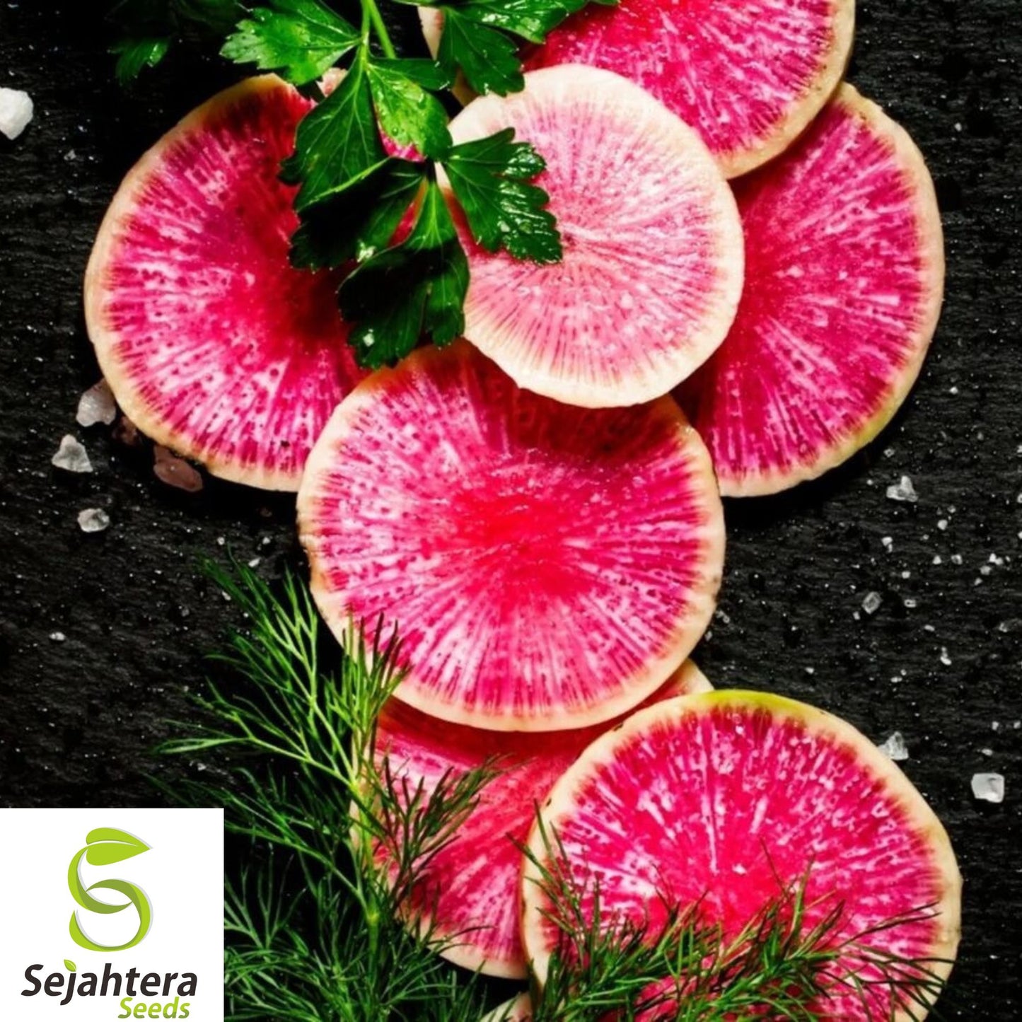 200+ Watermelon Radish Seeds – Heirloom, Organic, Non-GMO, Crisp & Sweet Flavor